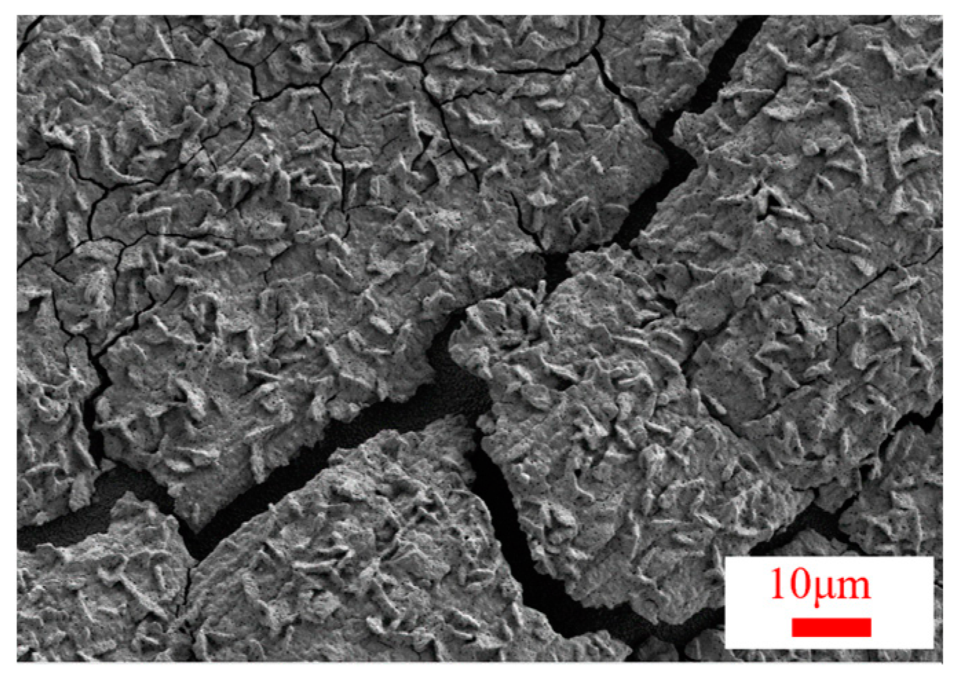 Surfaces 07 00037 g006