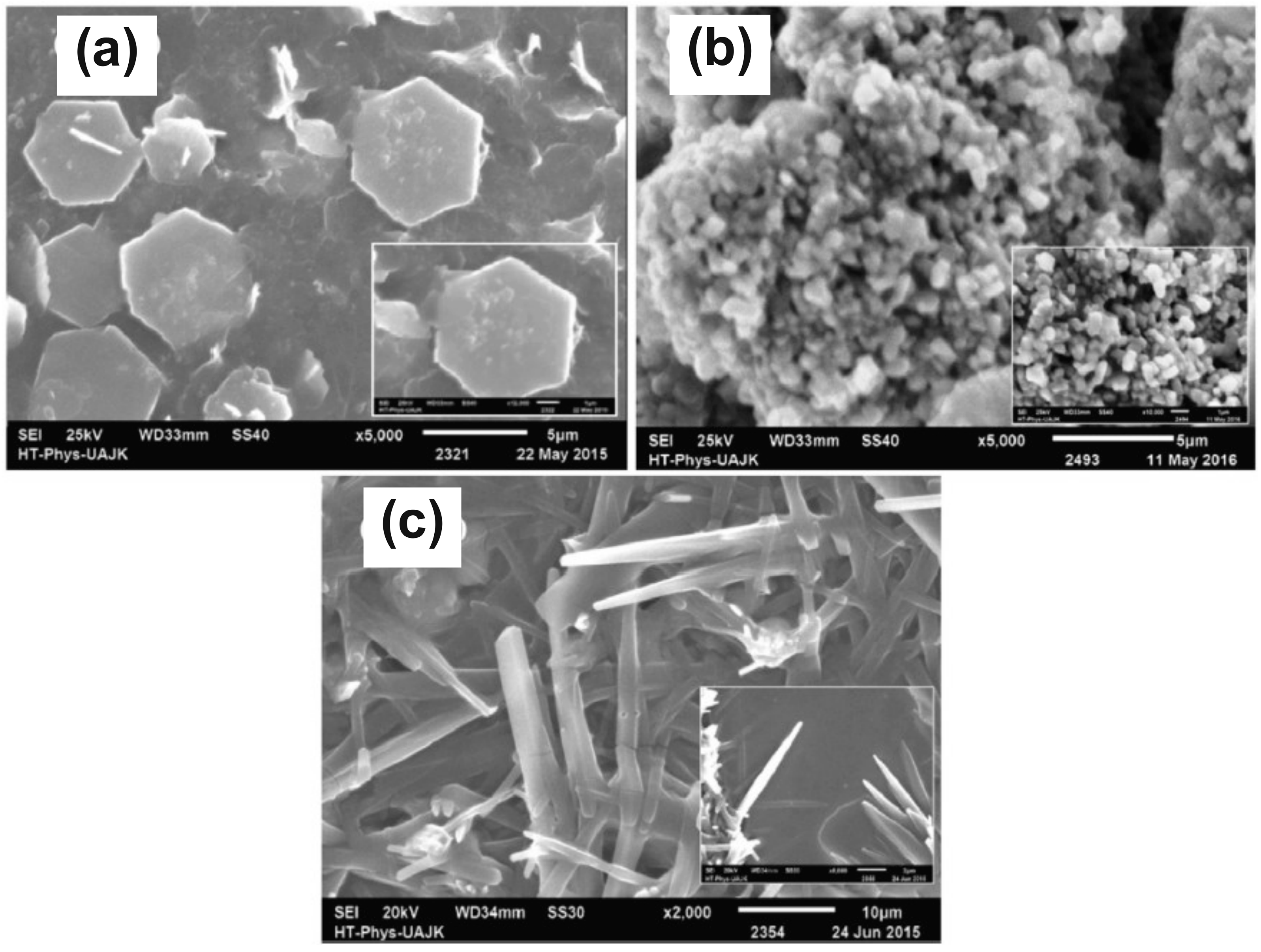 Surfaces 07 00044 g010