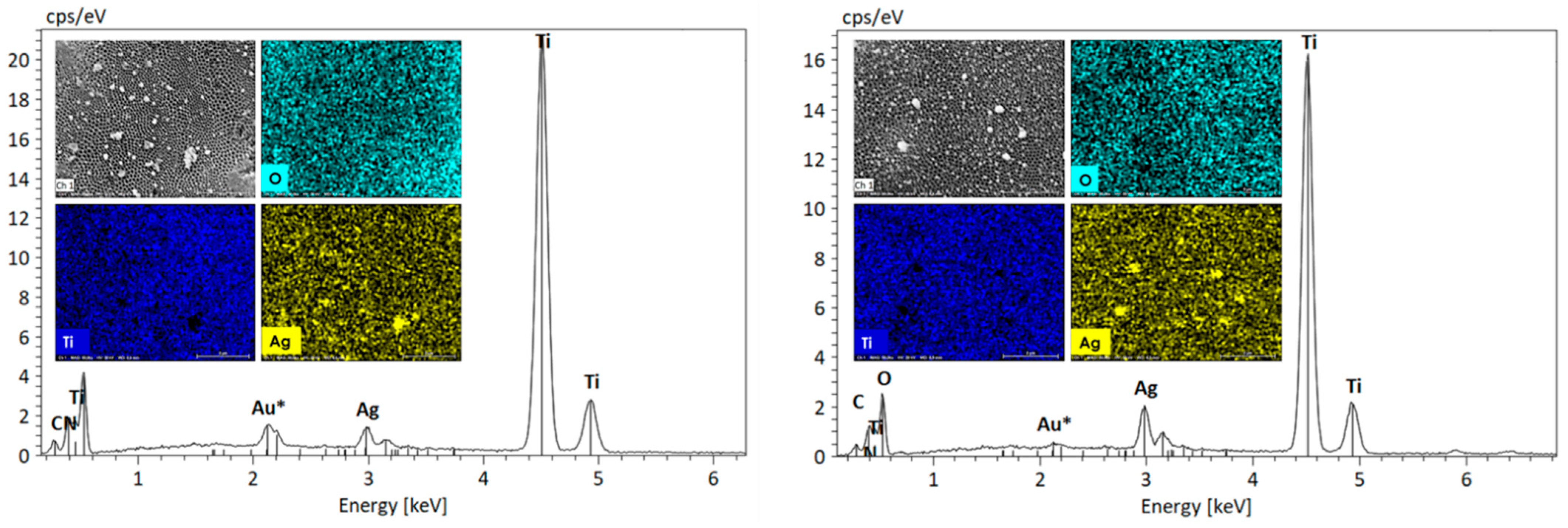Surfaces 07 00061 g006