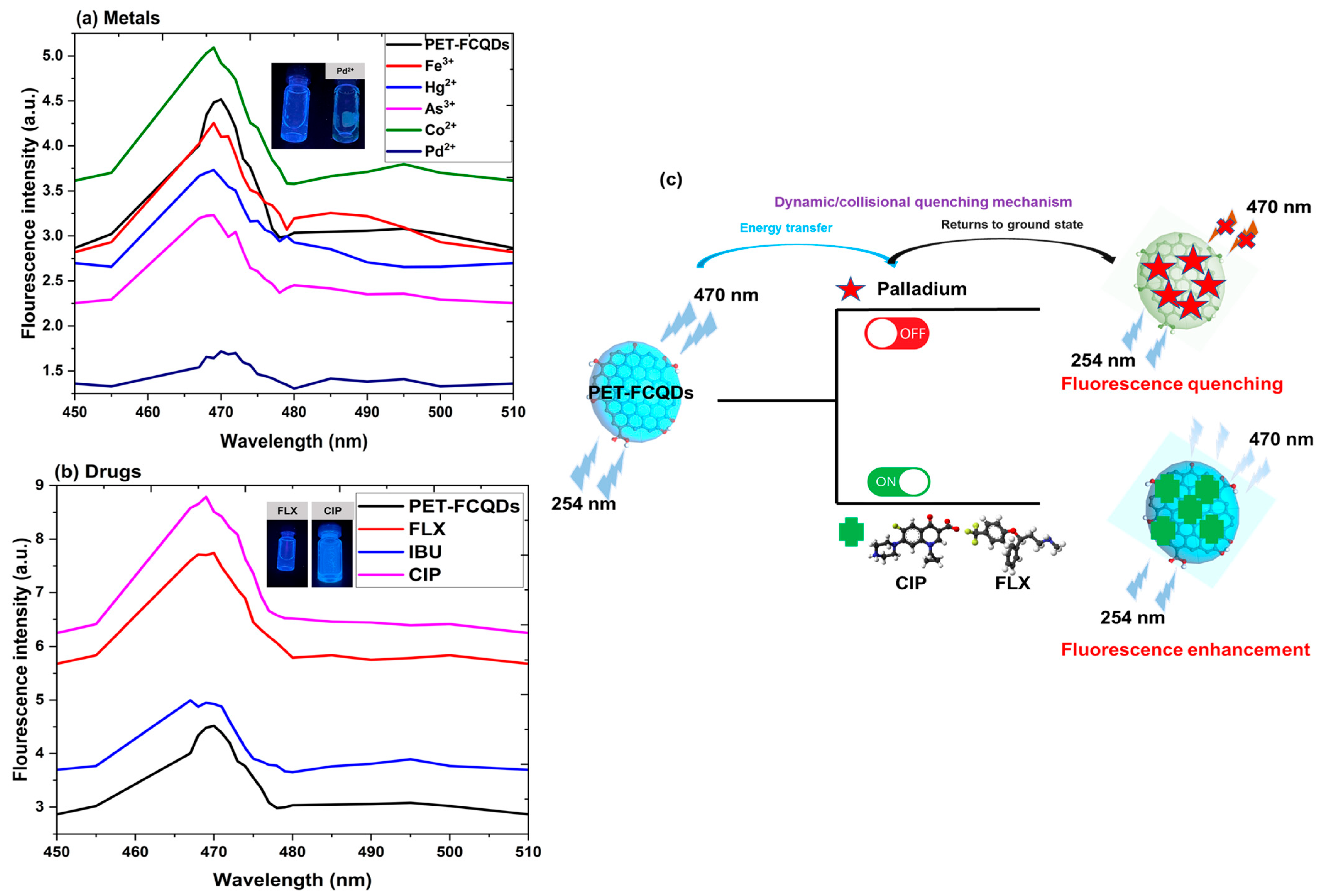 Surfaces 08 00024 g008