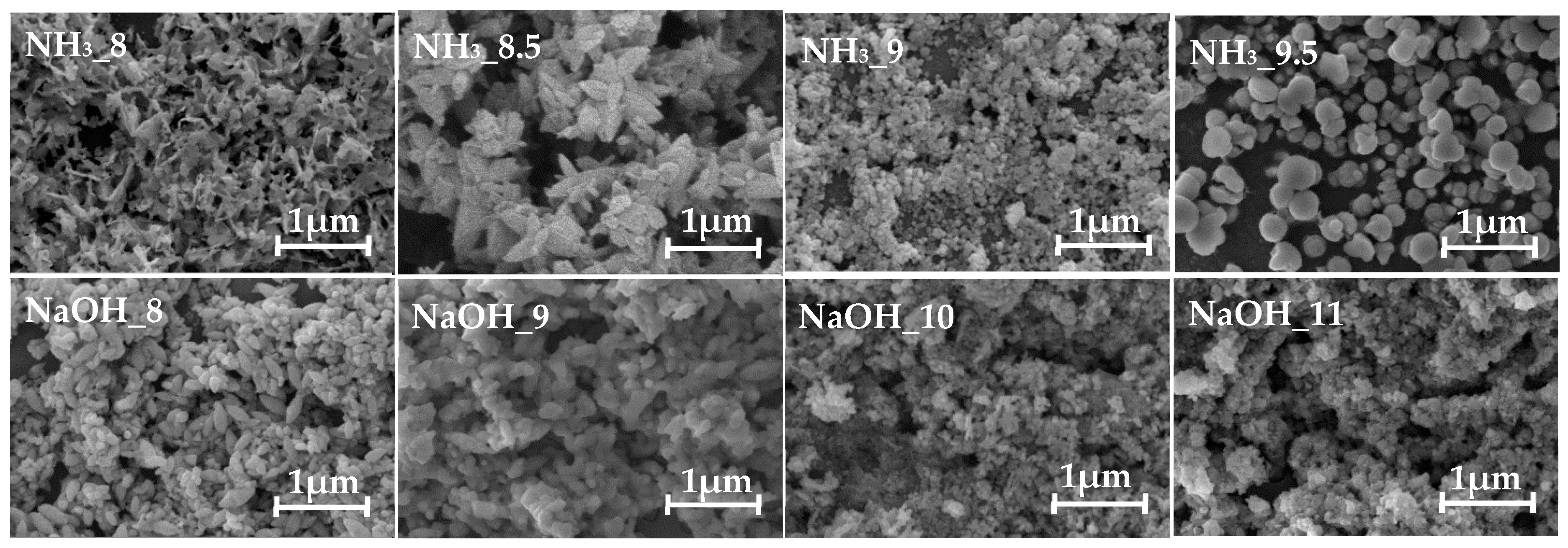 Surfaces 08 00046 g004