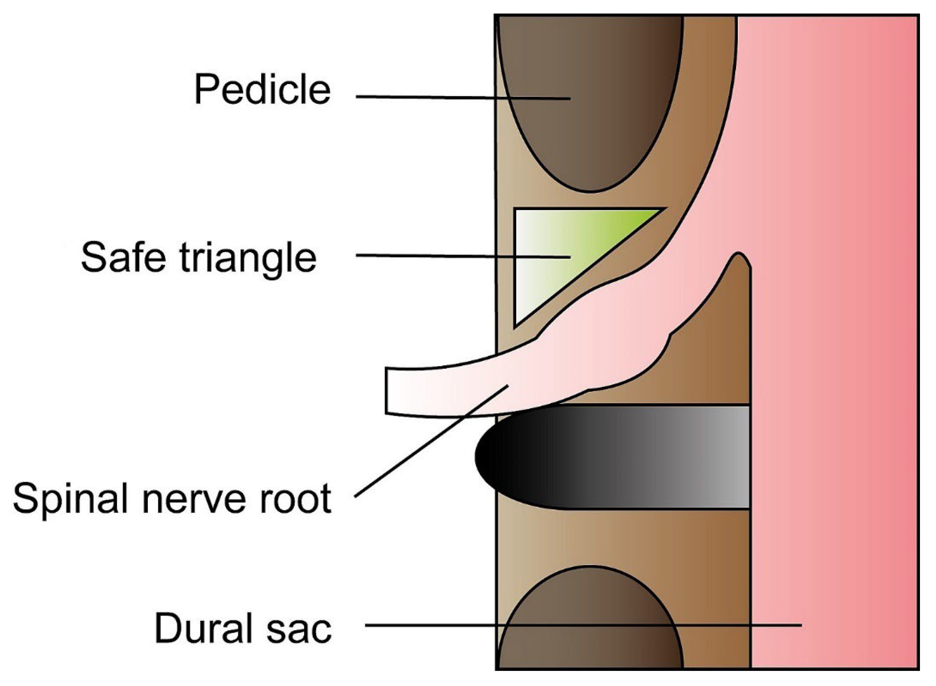 Surgeries 03 00028 g003