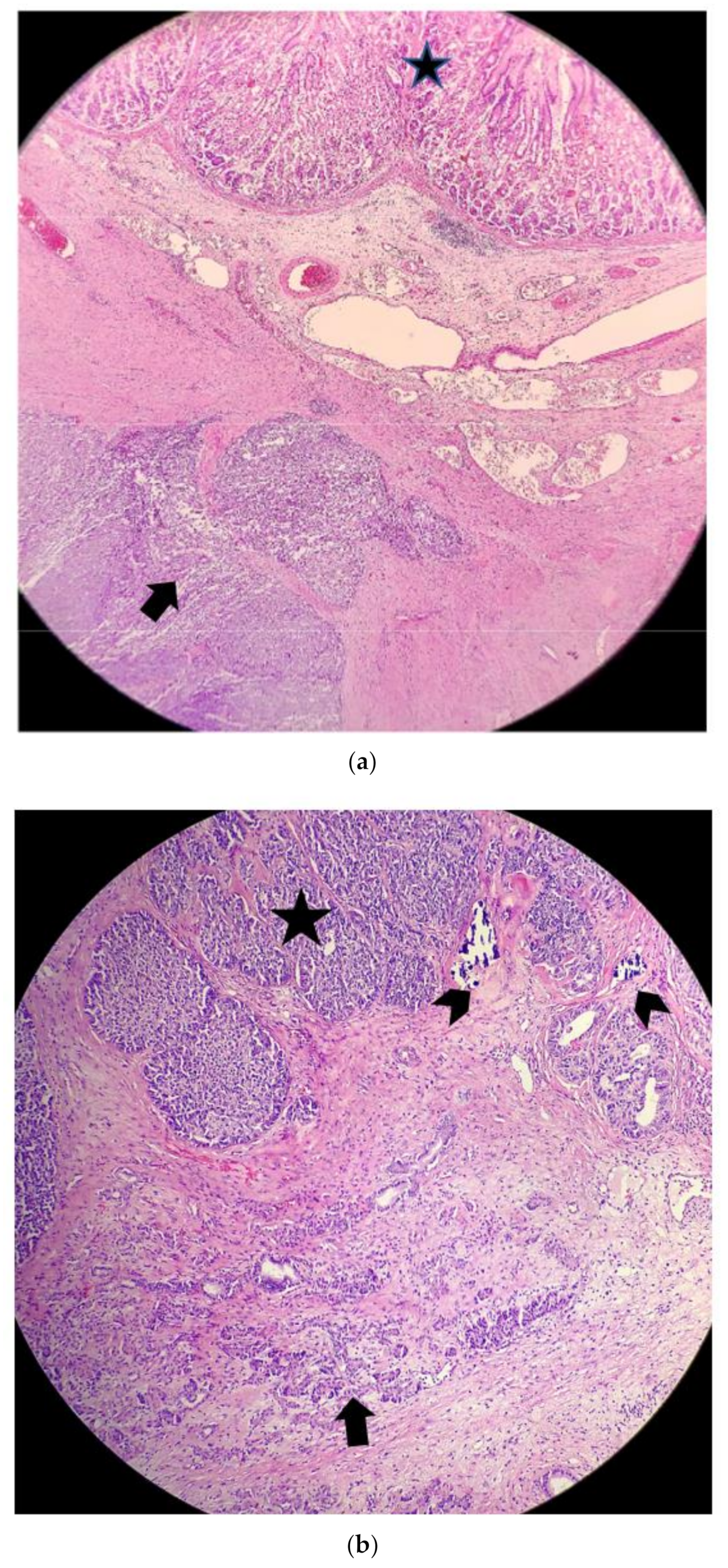 Surgeries 04 00009 g009