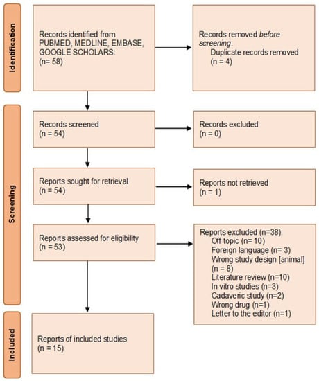 Surgeries, Free Full-Text