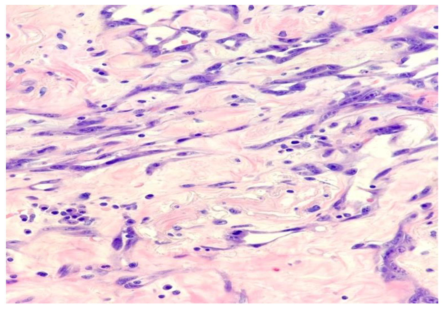 Surgeries 04 00038 g004 Surgeries 04 00038 g004