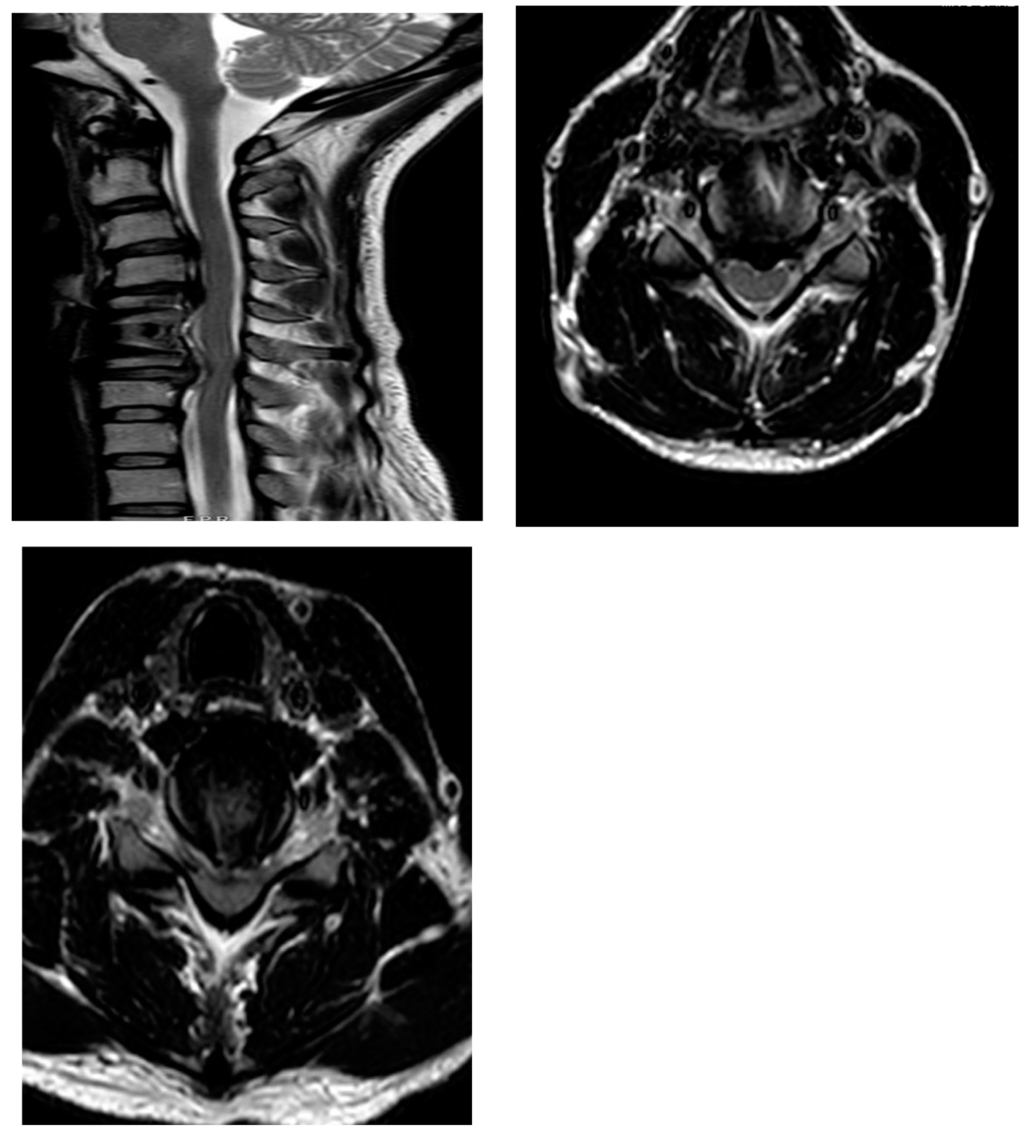 Surgeries 05 00056 g001