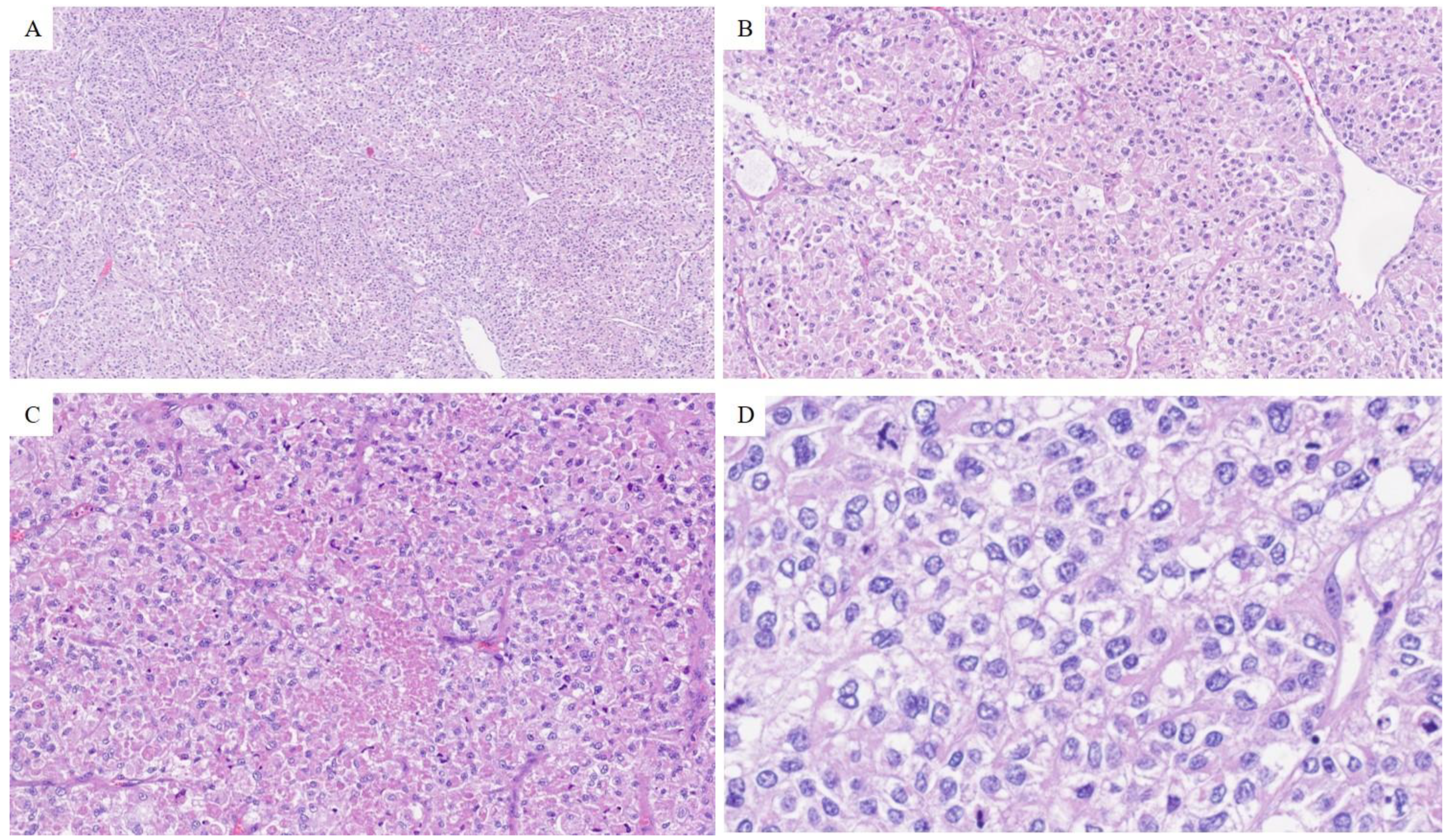 Surgeries 05 00087 g002 Surgeries 05 00087 g002