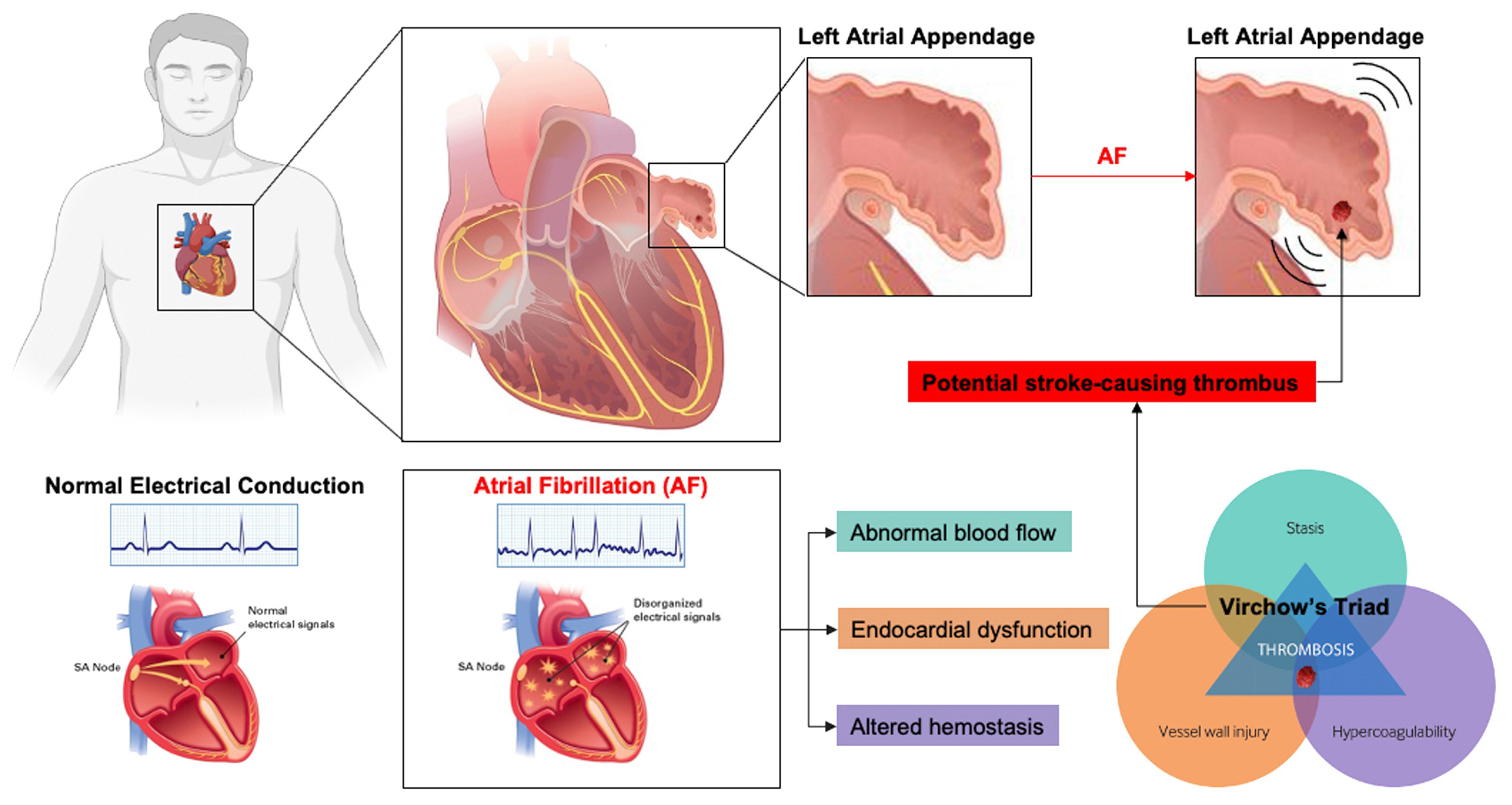 Surgeries 06 00015 g001