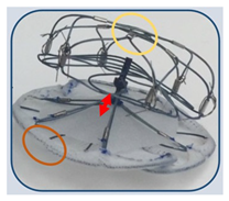 Surgeries 06 00015 i009