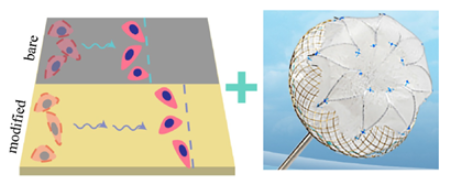 Surgeries 06 00015 i012