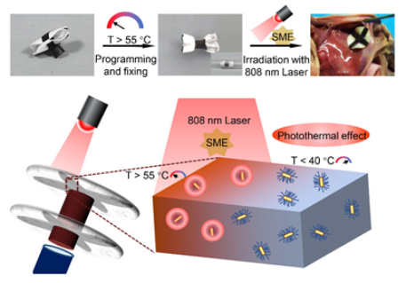 Surgeries 06 00015 i015