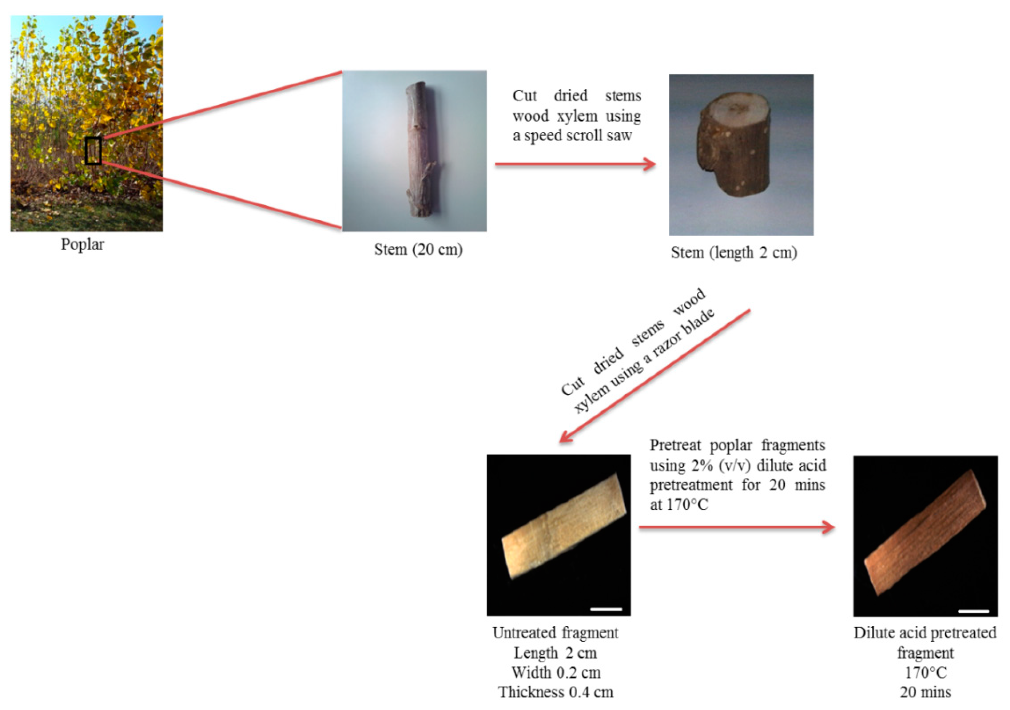 Suschem 01 00007 g001