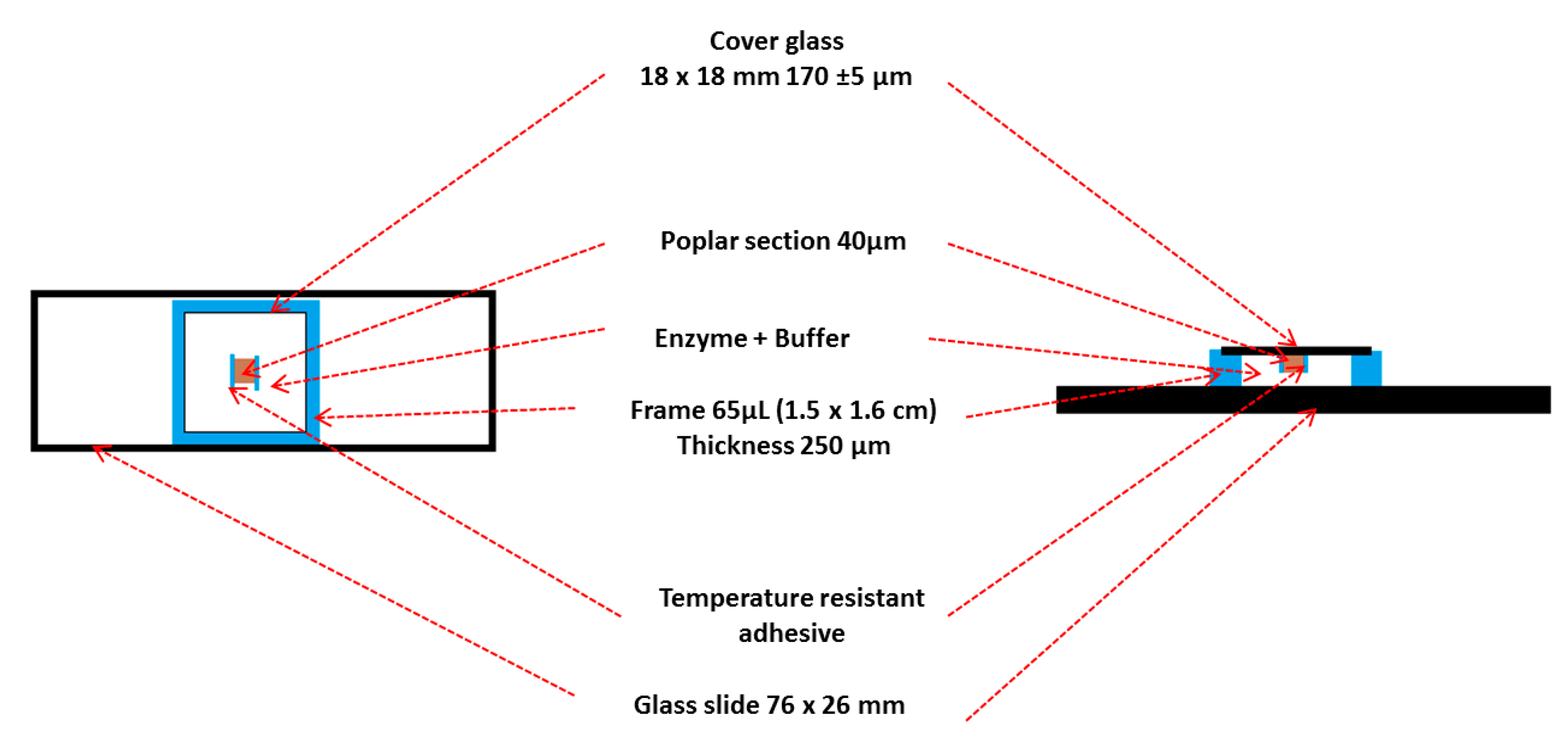 Suschem 01 00007 g003