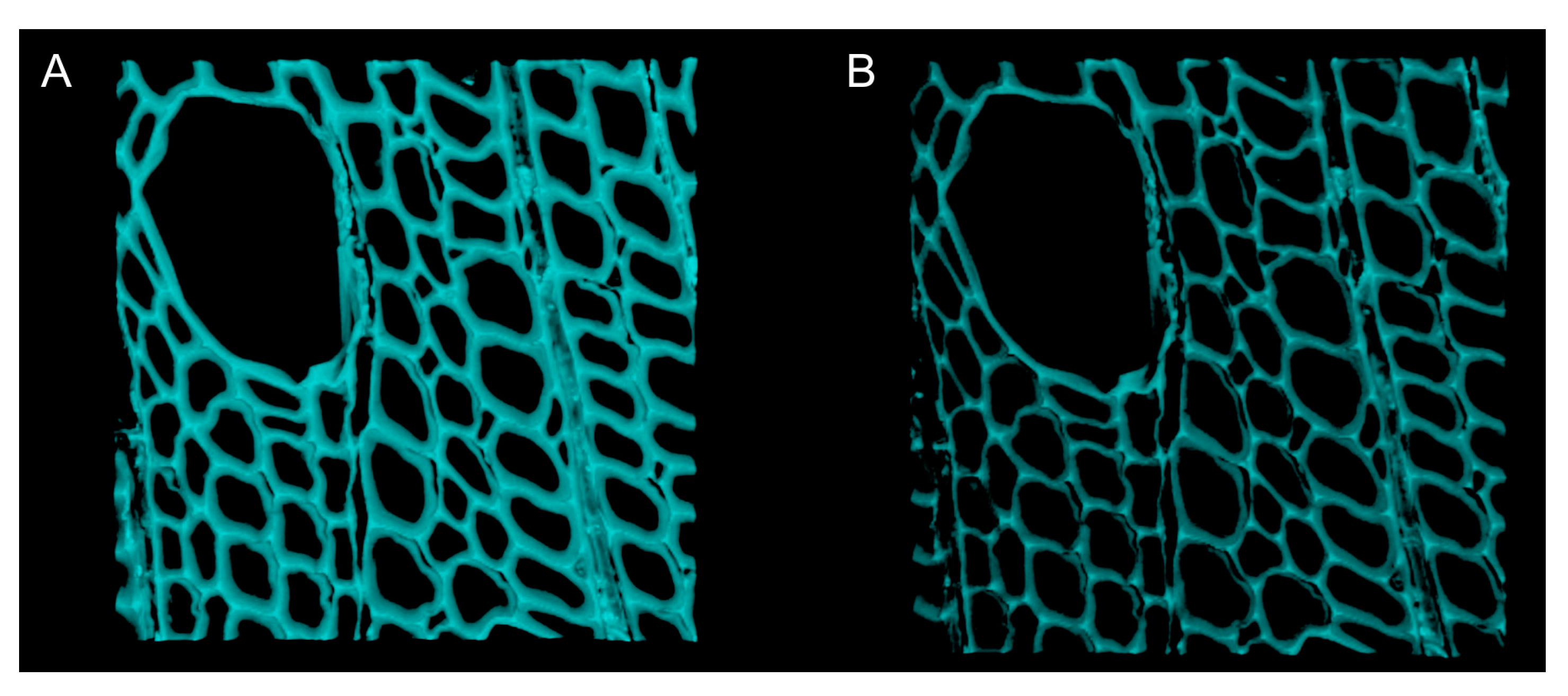 Suschem 01 00007 g007