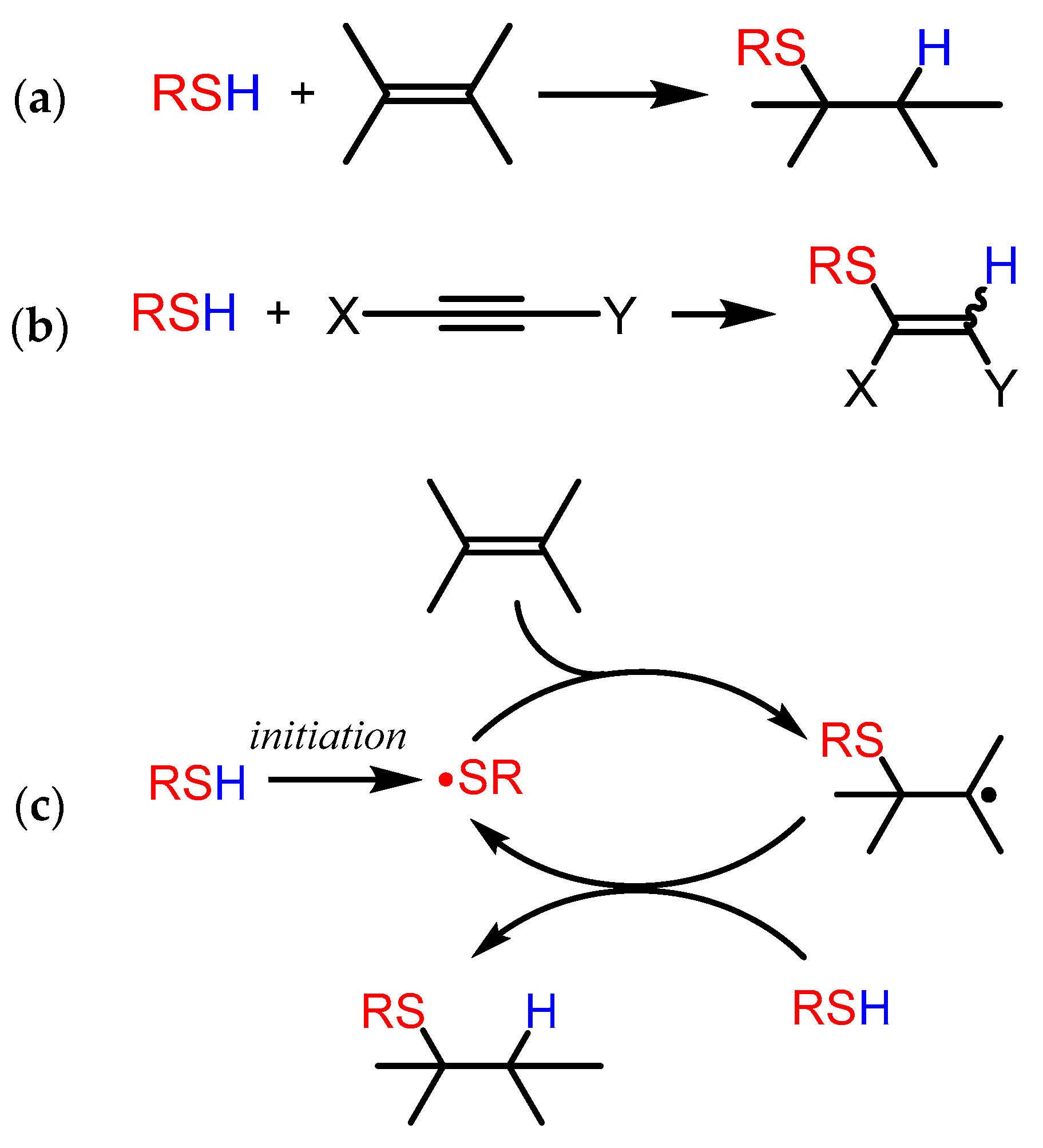 Suschem 01 00015 g002