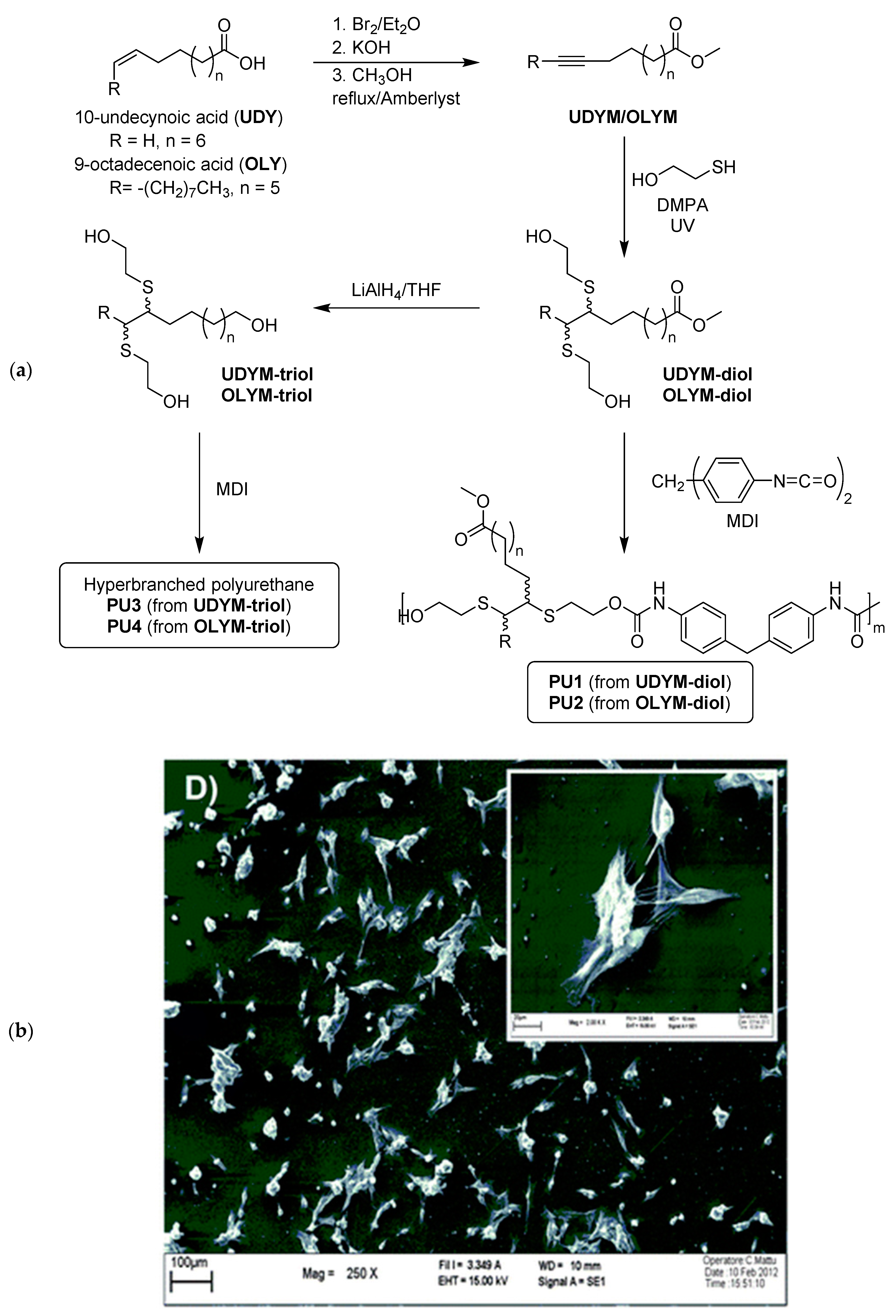 Suschem 01 00015 g018
