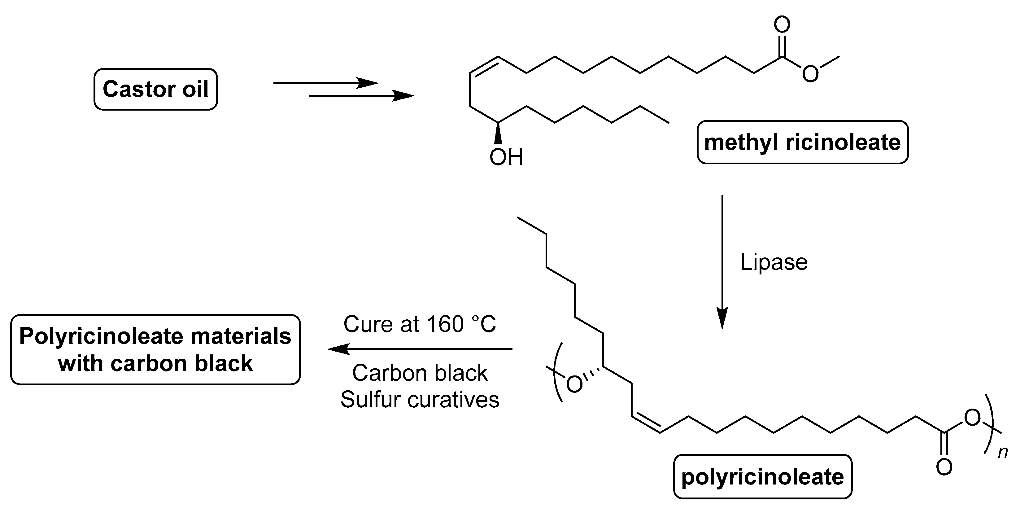 Suschem 01 00015 g022