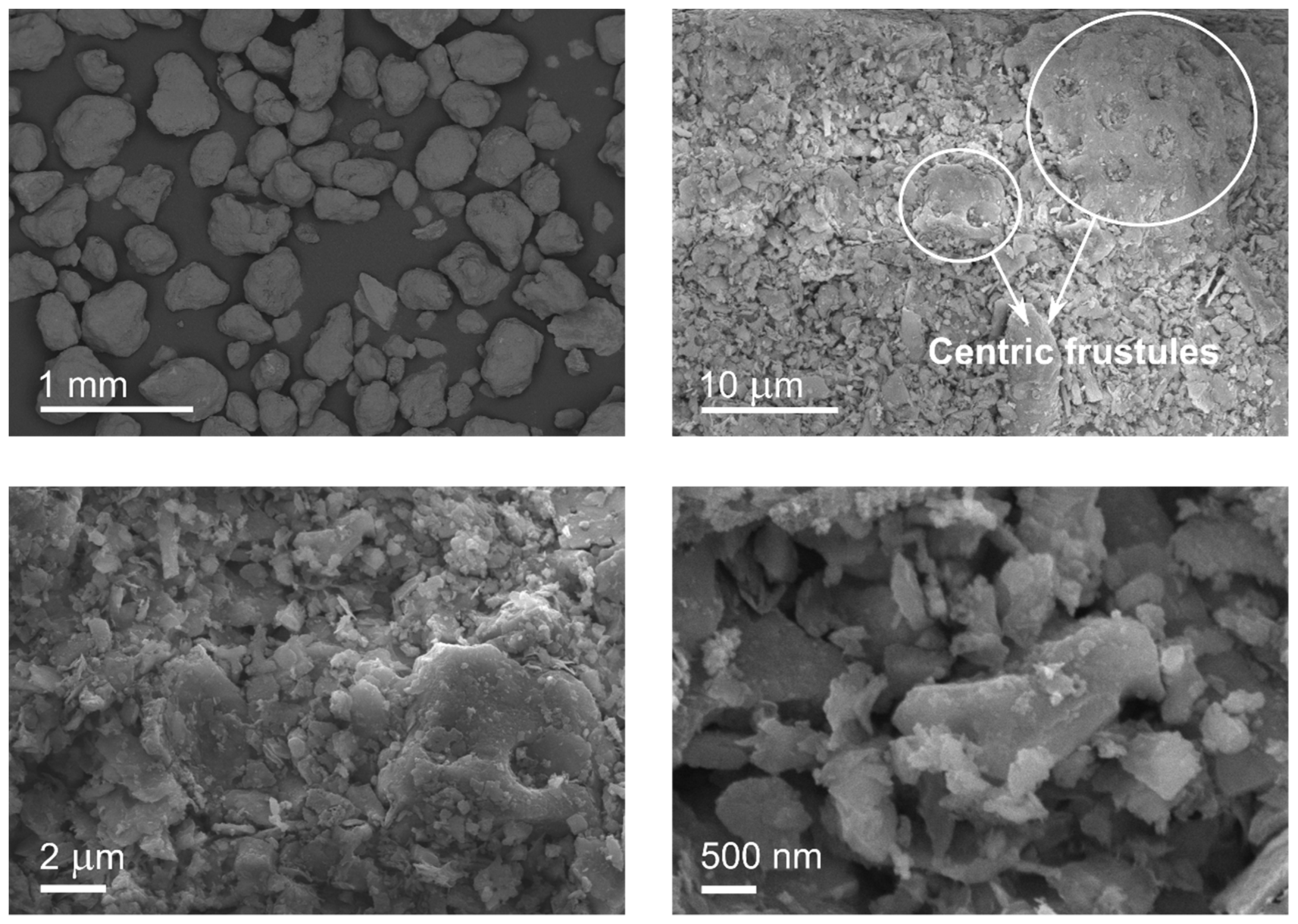 Suschem 02 00003 g007 Suschem 02 00003 g007