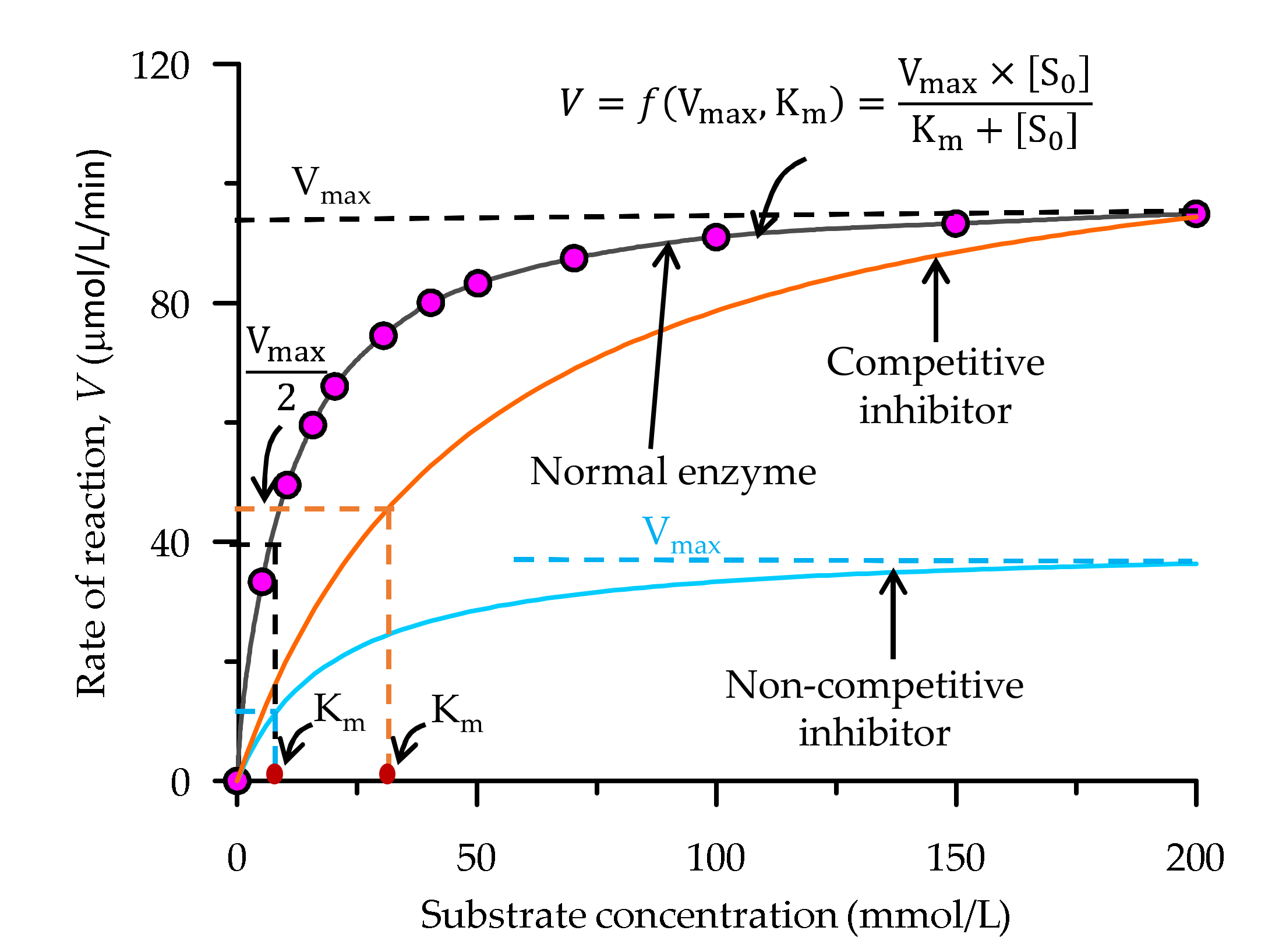 Suschem 02 00007 g009 Suschem 02 00007 g009