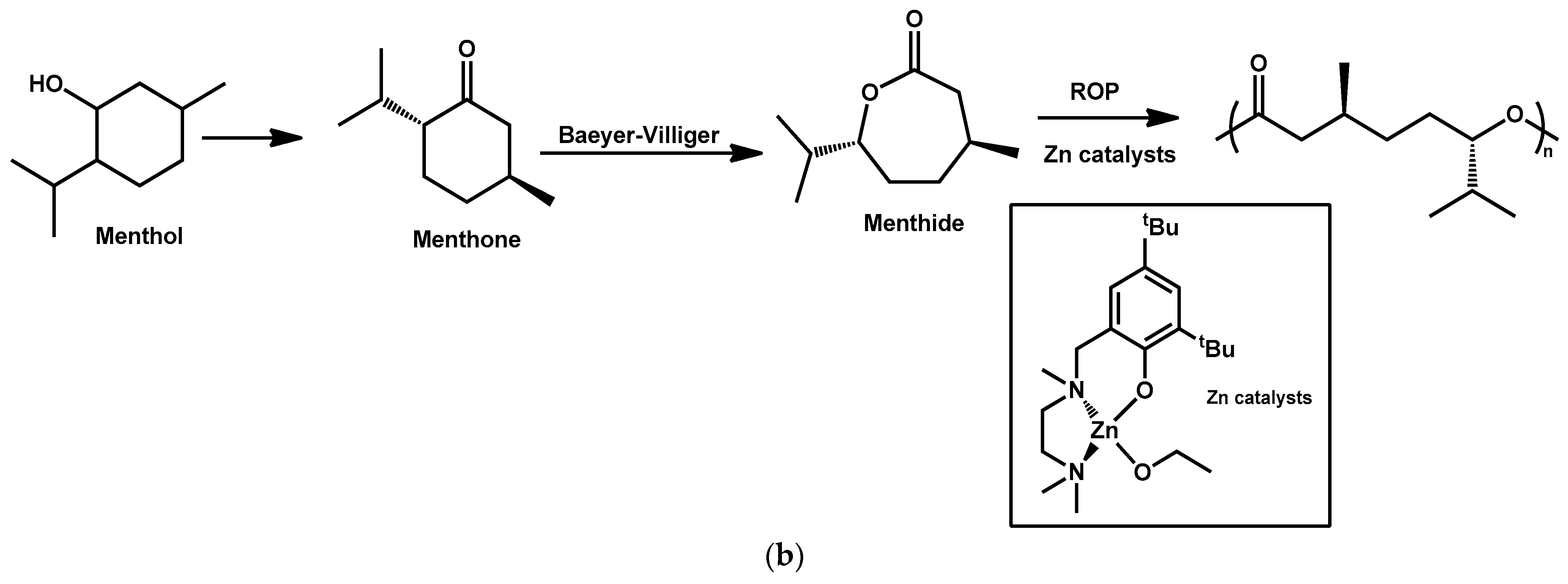 Suschem 02 00026 sch007b