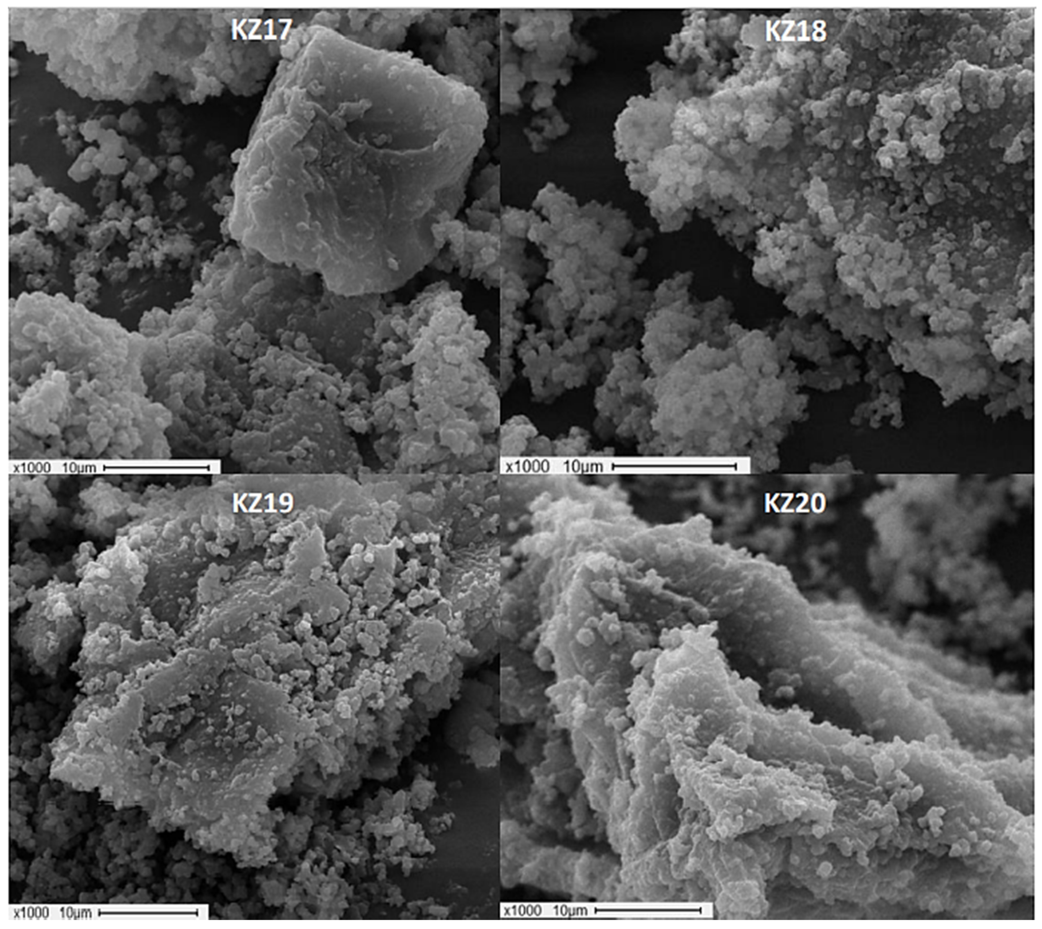 Suschem 02 00037 g005