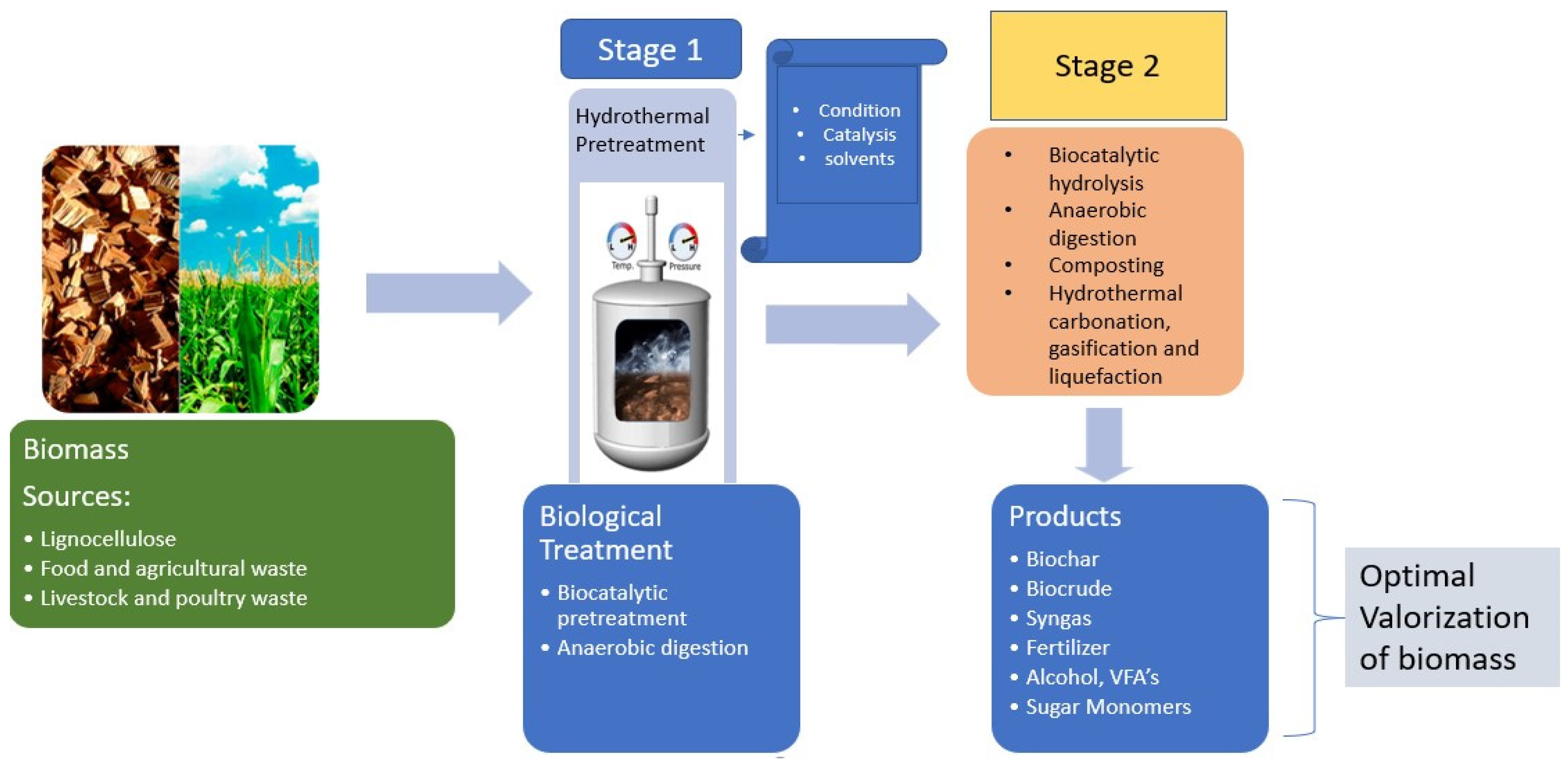 New Proposal in a Biorefinery Context: Recovery of Acetic and Formic Acids  by Adsorption on Hydrotalcites