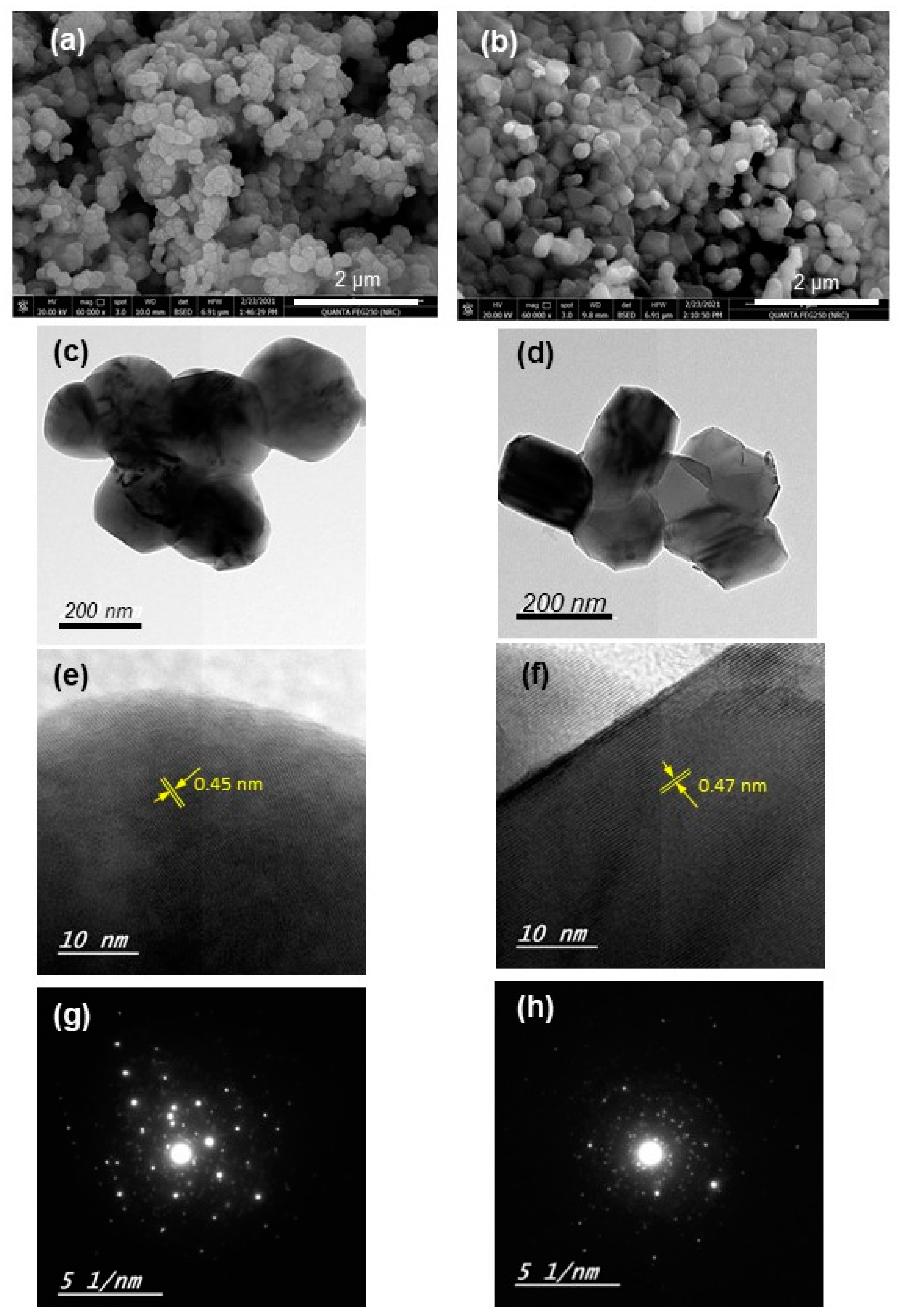 Suschem 03 00010 g003