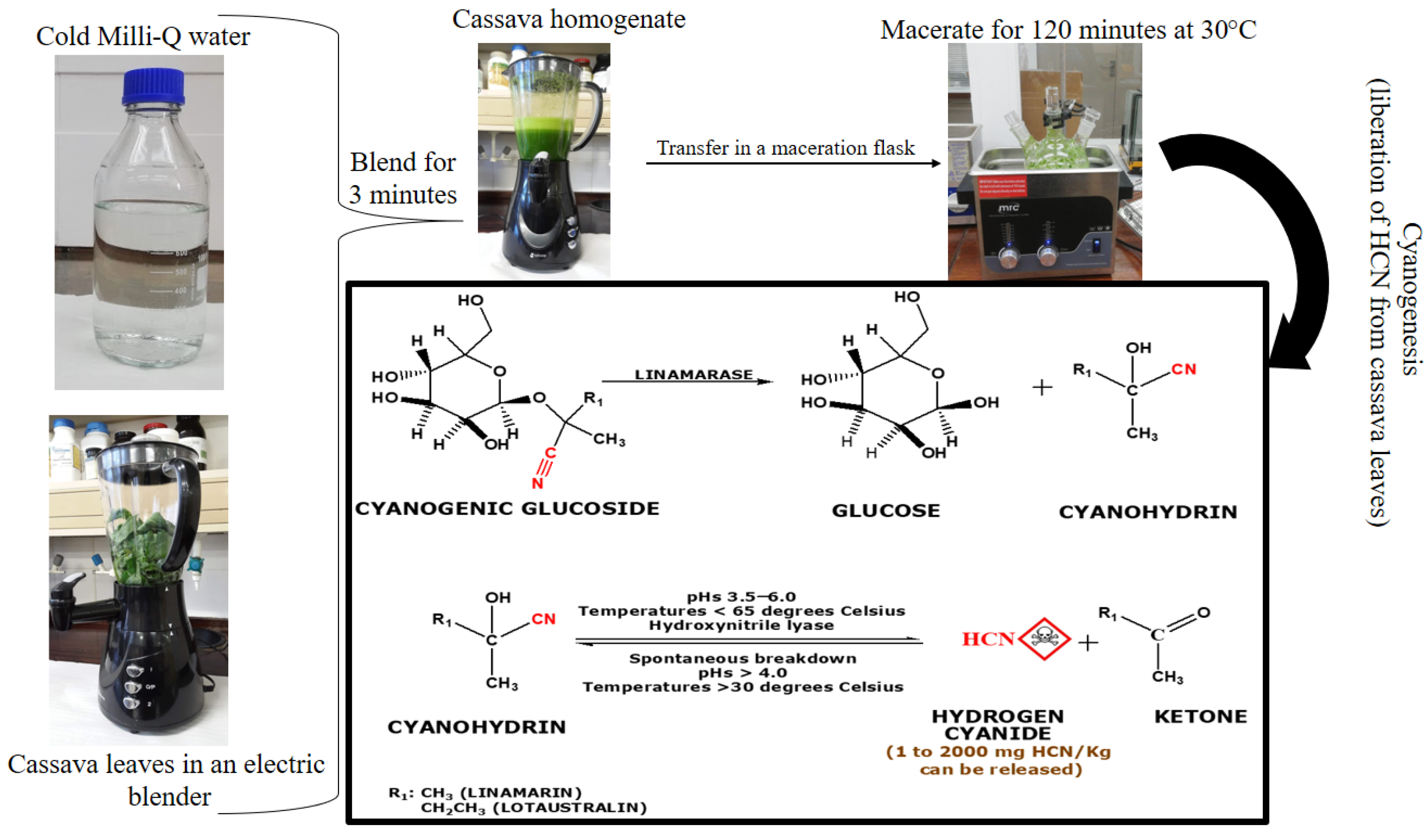 Suschem 03 00020 g002
