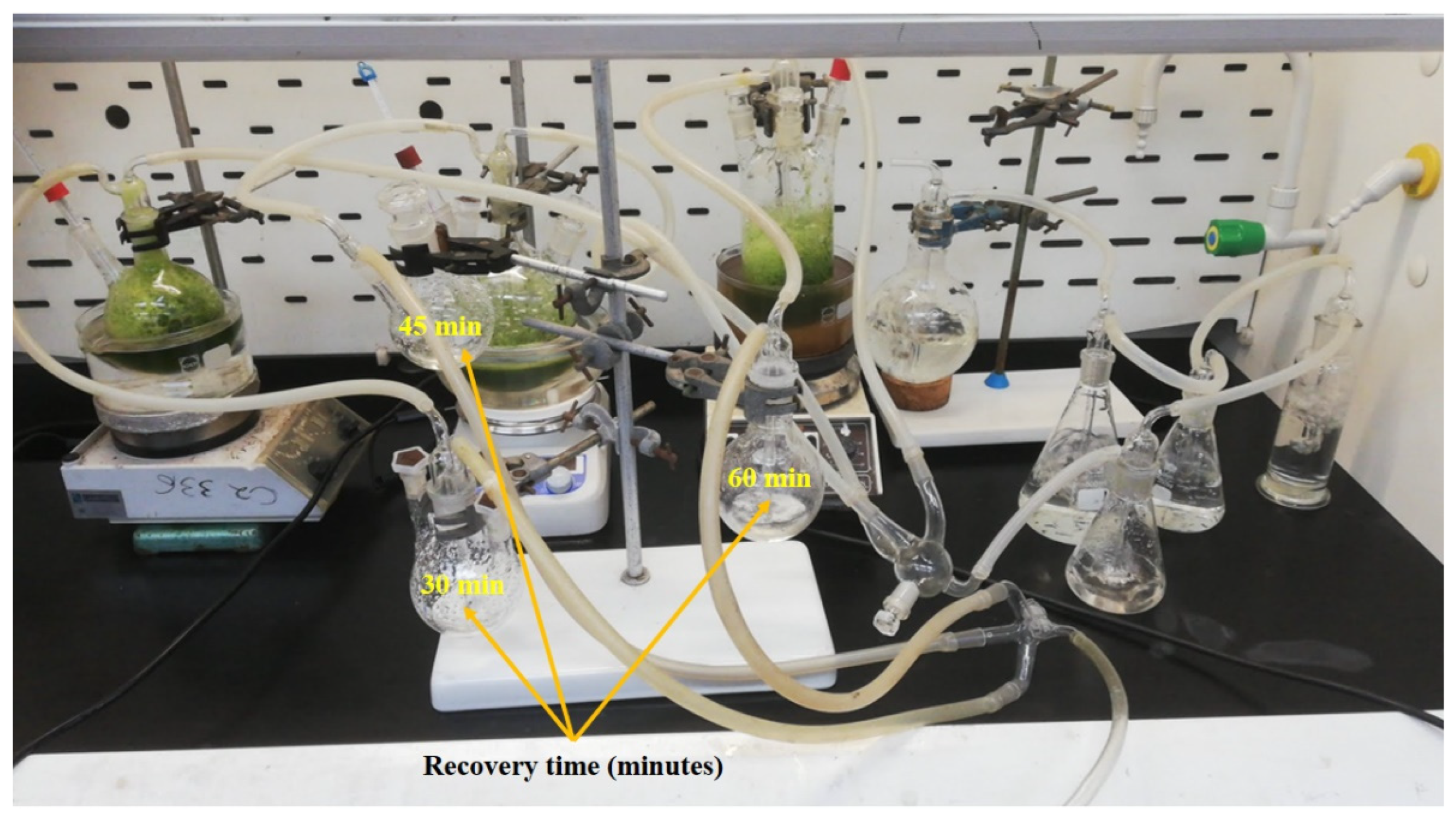 Suschem 03 00020 g008