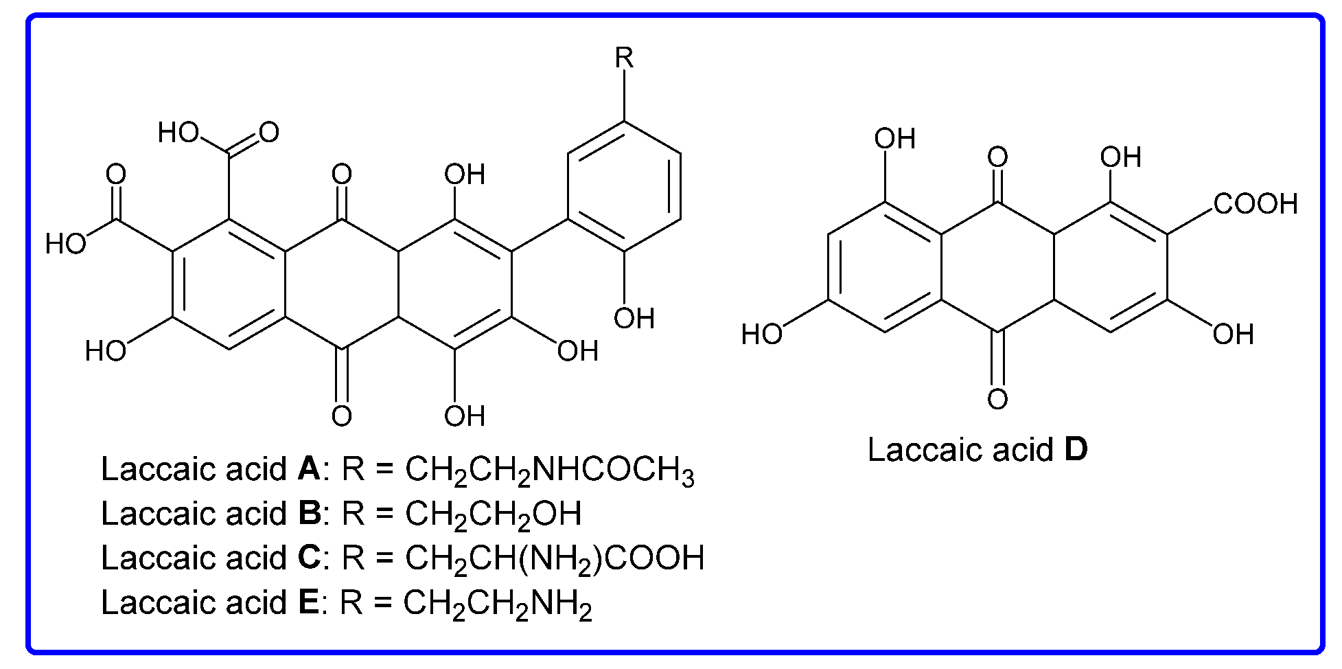 Suschem 04 00001 g002