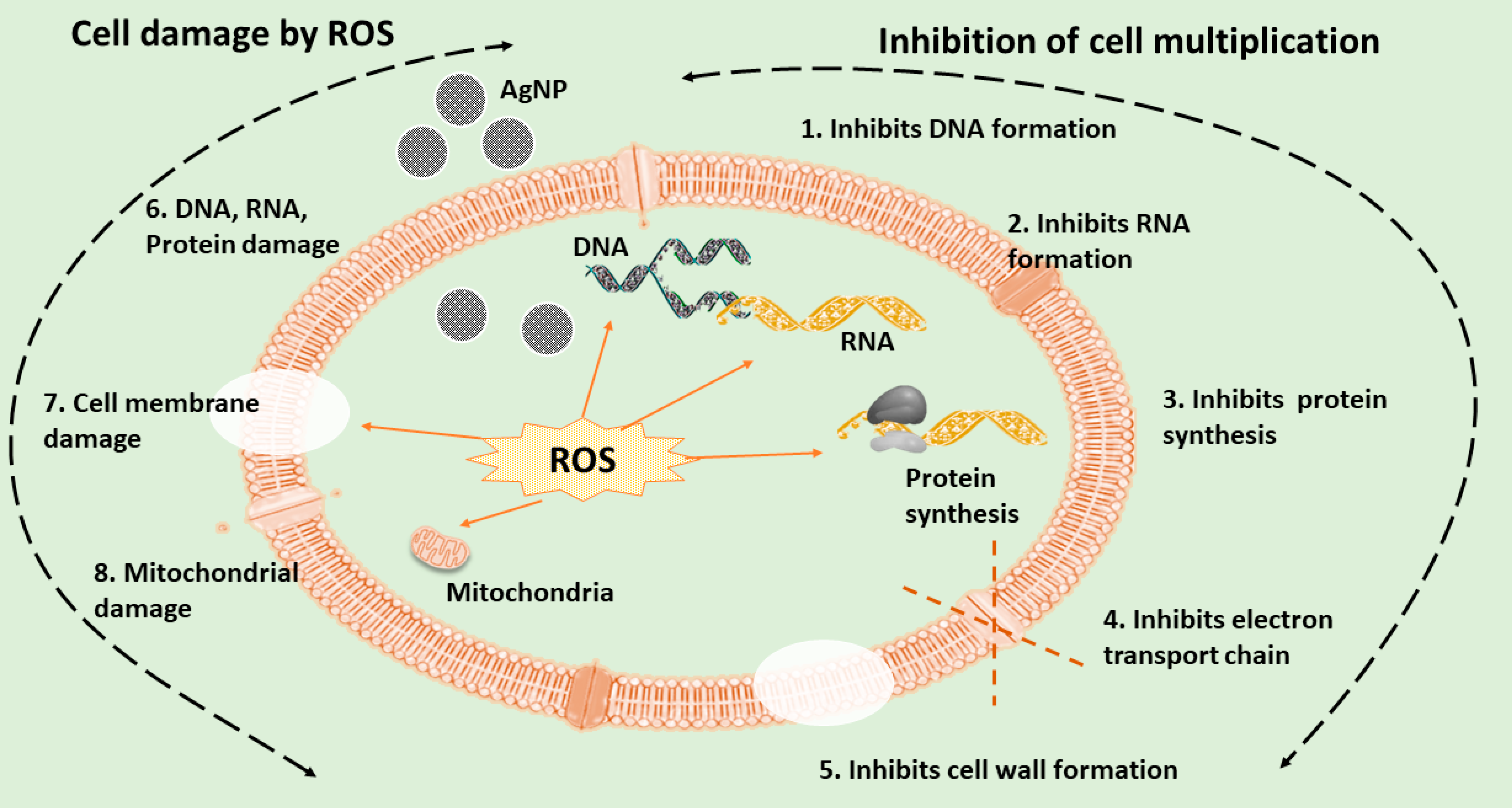 Suschem 04 00007 g004 Suschem 04 00007 g004