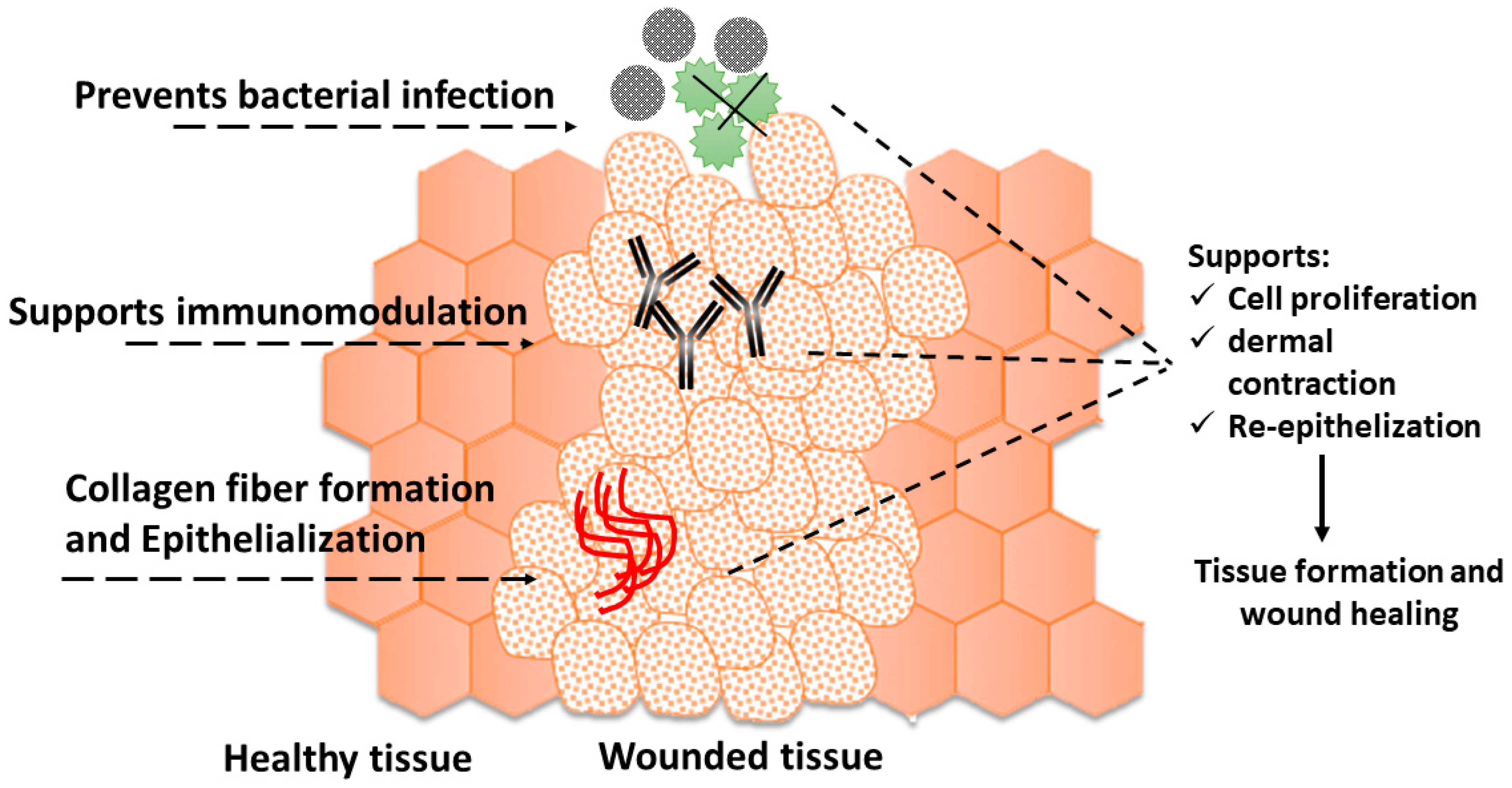 Suschem 04 00007 g005 Suschem 04 00007 g005