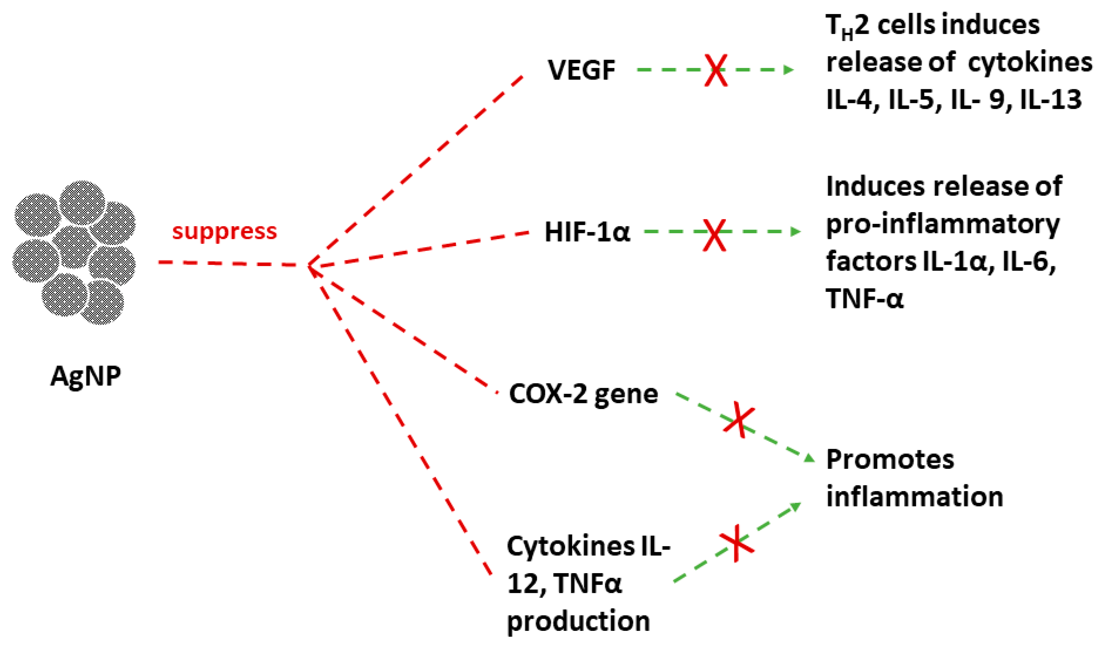Suschem 04 00007 g007 Suschem 04 00007 g007