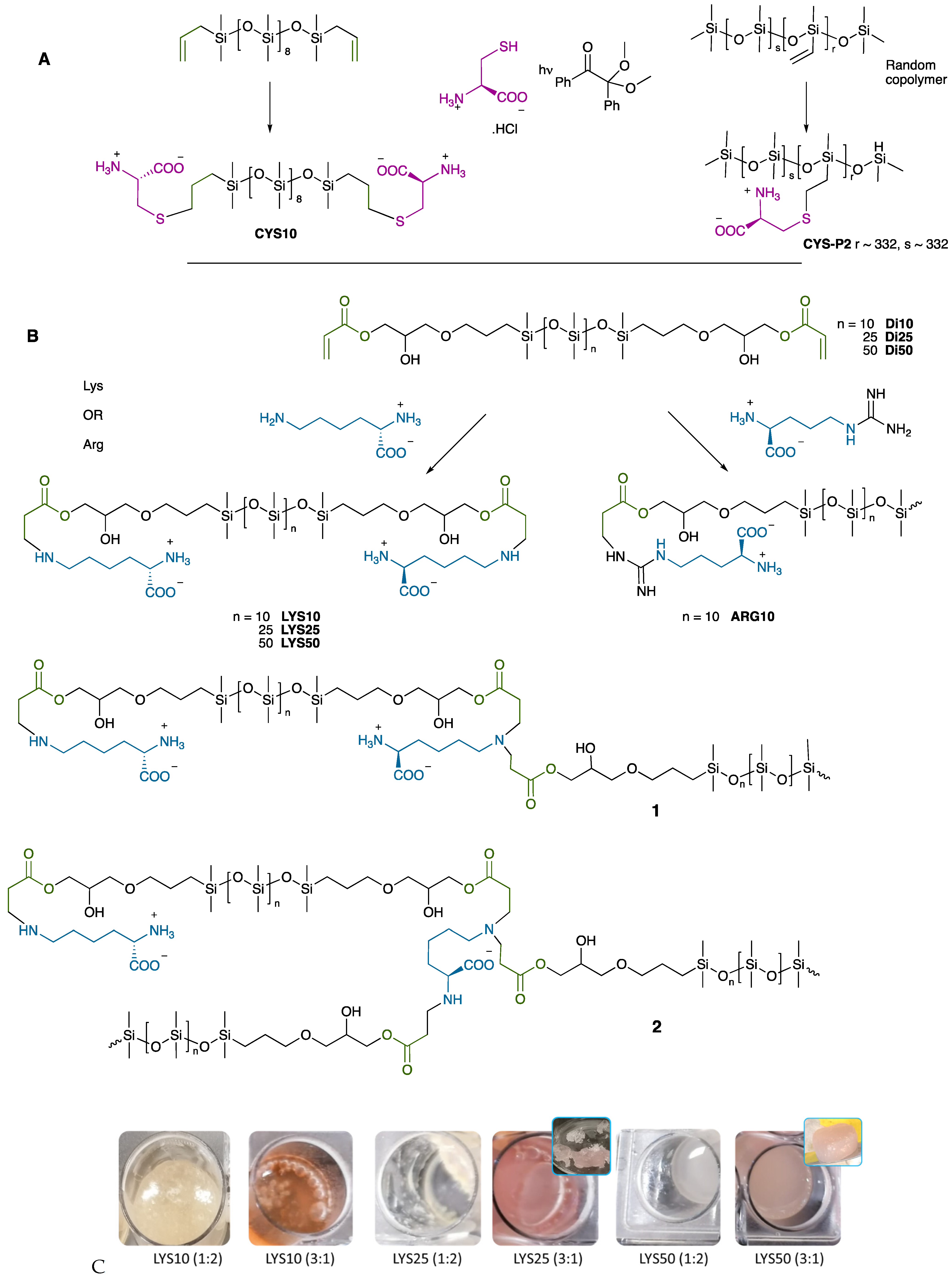 Suschem 04 00015 g001 Suschem 04 00015 g001