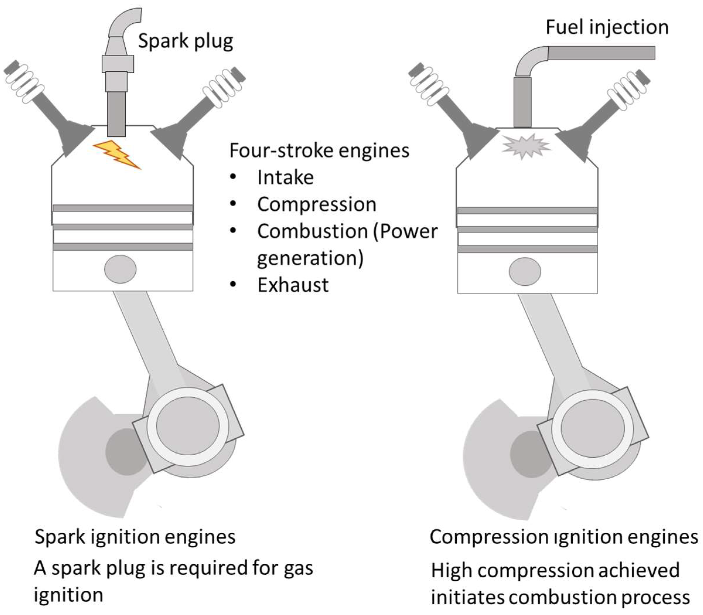 Suschem 05 00012 g005
