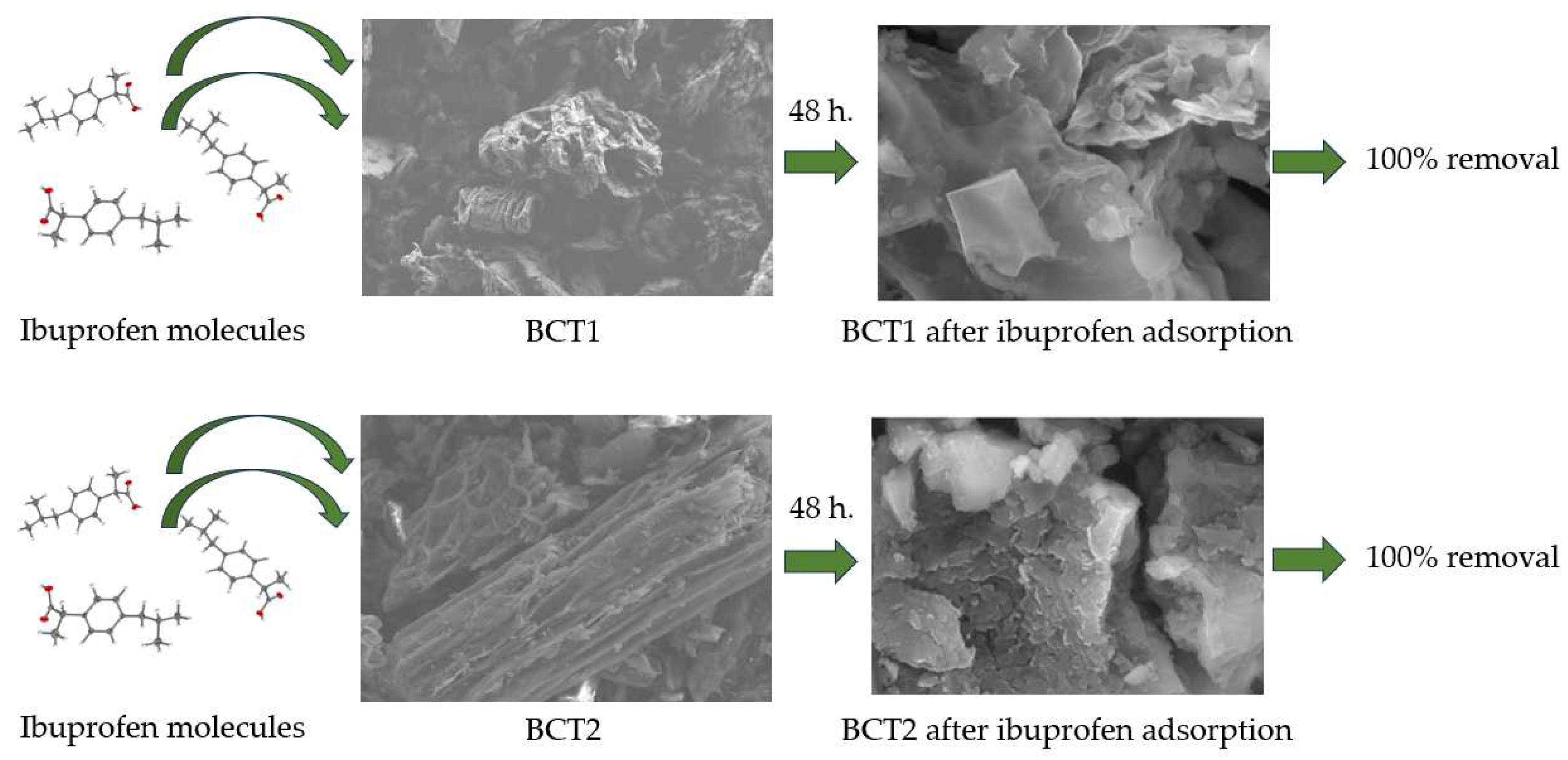 Suschem 05 00013 g008