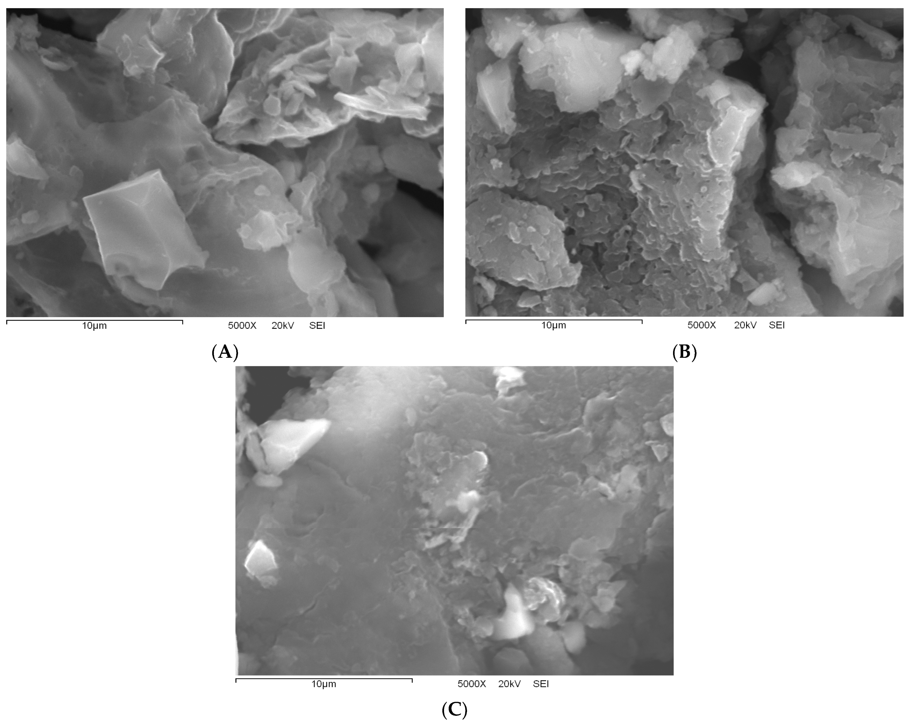 Suschem 05 00013 g009