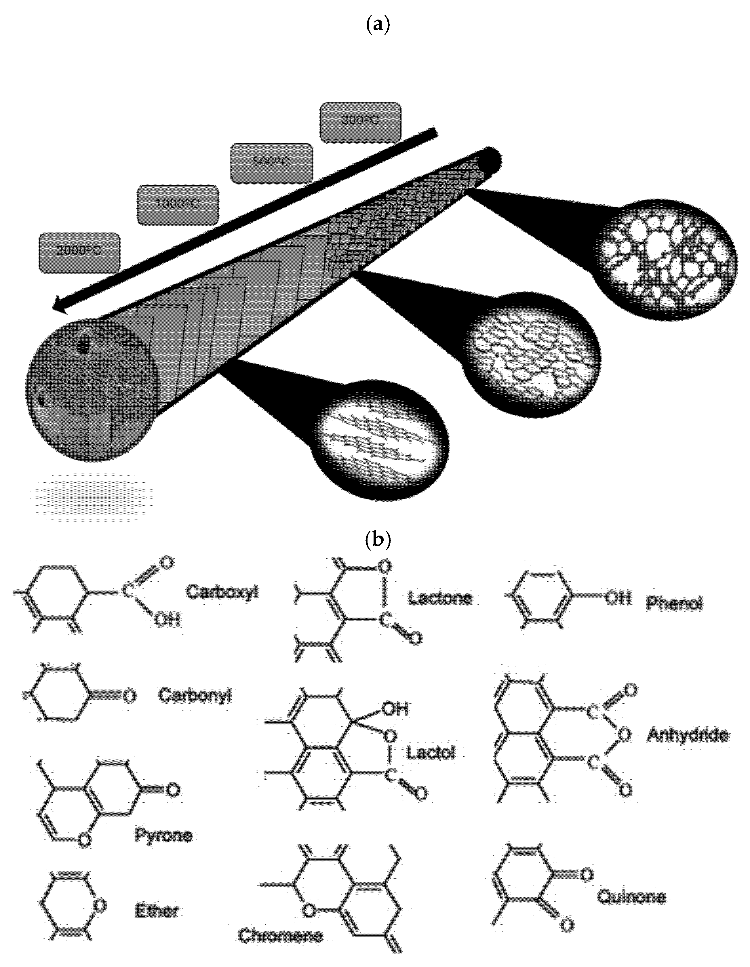 Suschem 05 00020 g006
