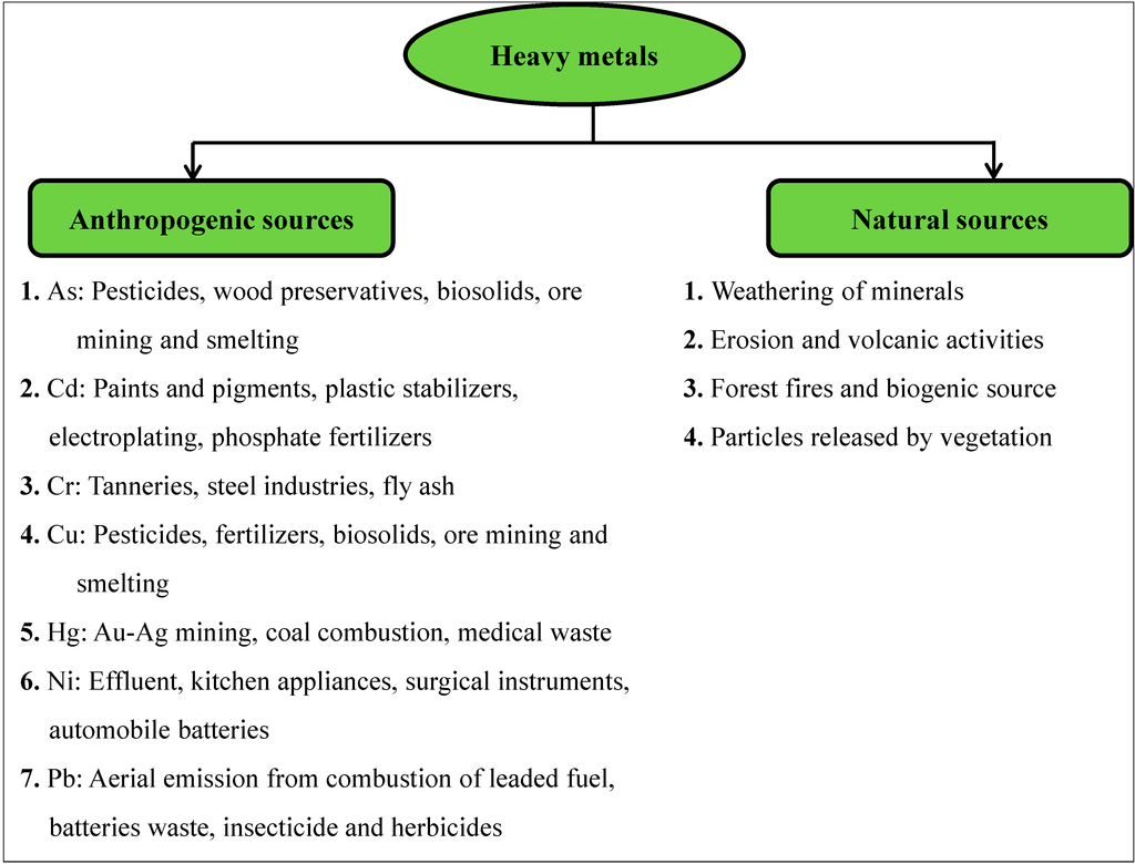 Sustainability | Free Full-Text | Bioremediation of Heavy Metals from Soil  and Aquatic Environment: An Overview of Principles and Criteria of  Fundamental Processes