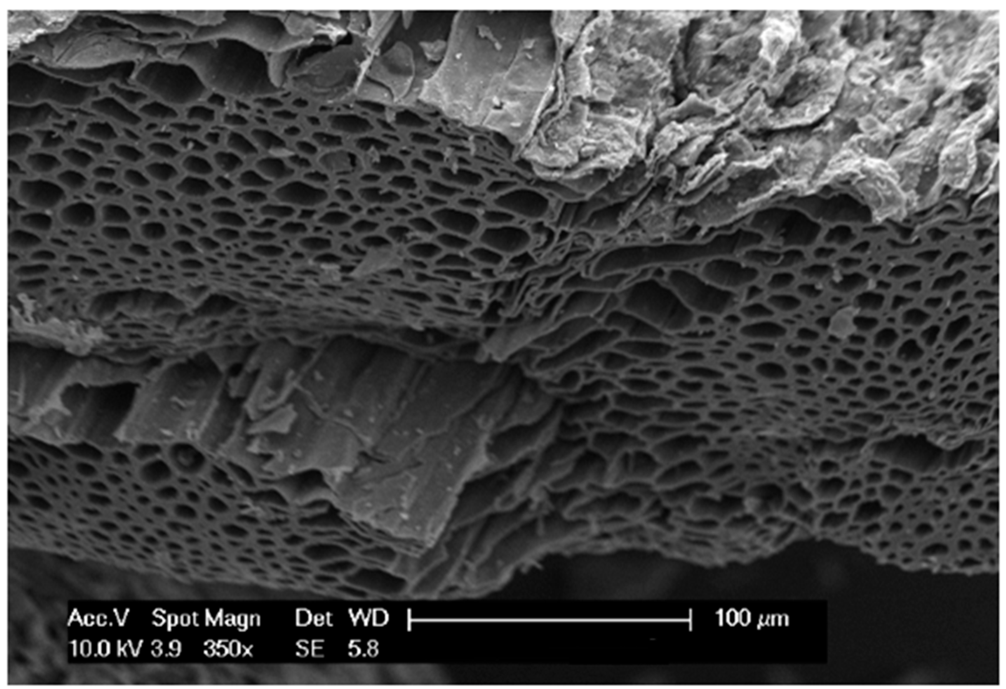 Sustainability 07 12209 g006