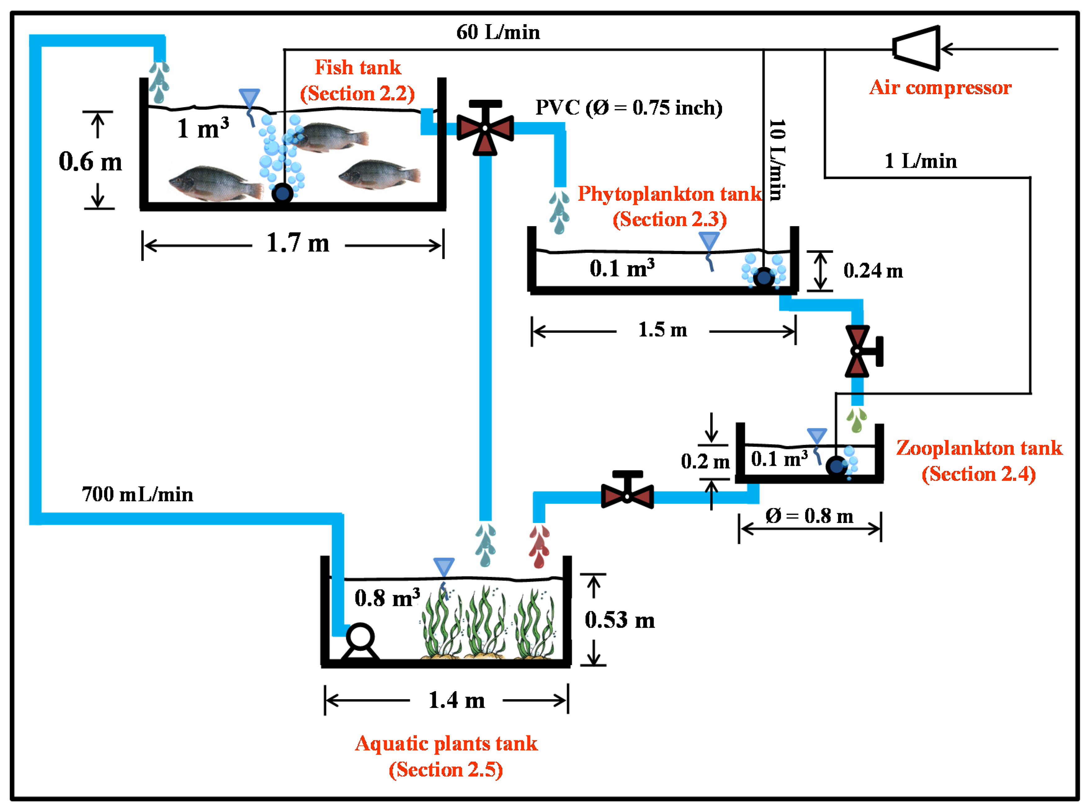 Sustainability | Free Full-Text | Integrated Multi-Trophic Recirculating  Aquaculture System for Nile Tilapia (Oreochlomis niloticus)