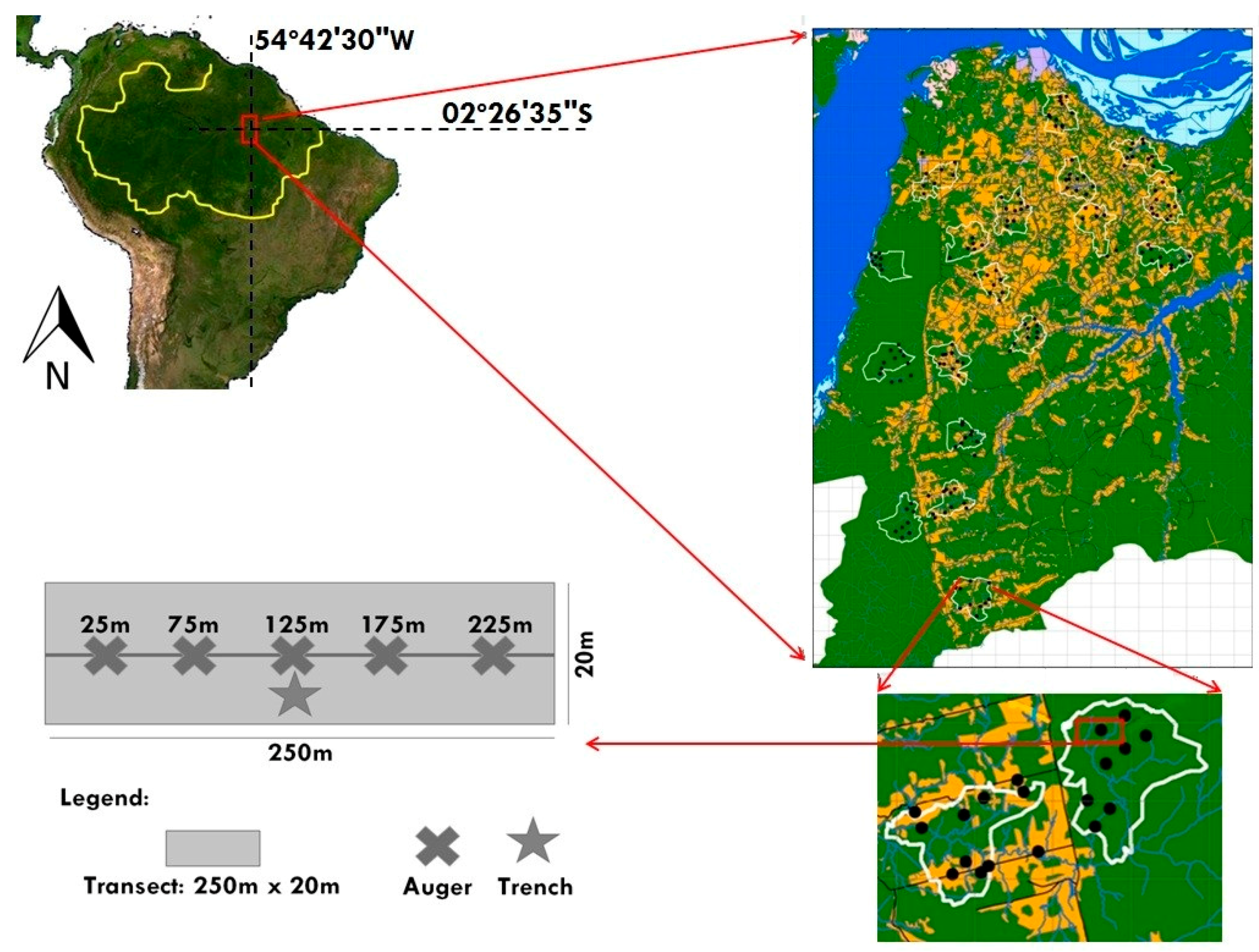 Sustainability | Free Full-Text | Soil Organic Matter Responses to  Anthropogenic Forest Disturbance and Land Use Change in the Eastern  Brazilian Amazon