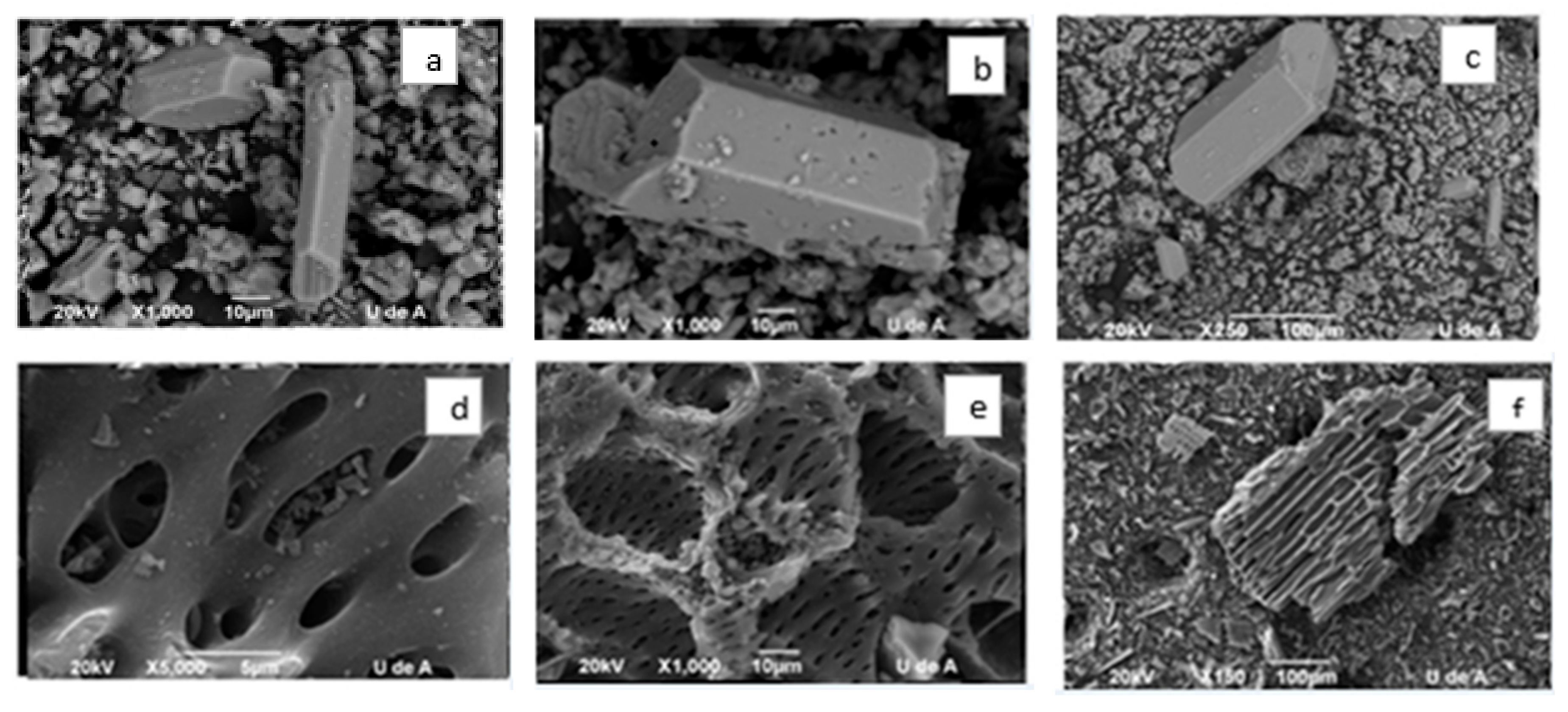 Sustainability 09 02100 g004
