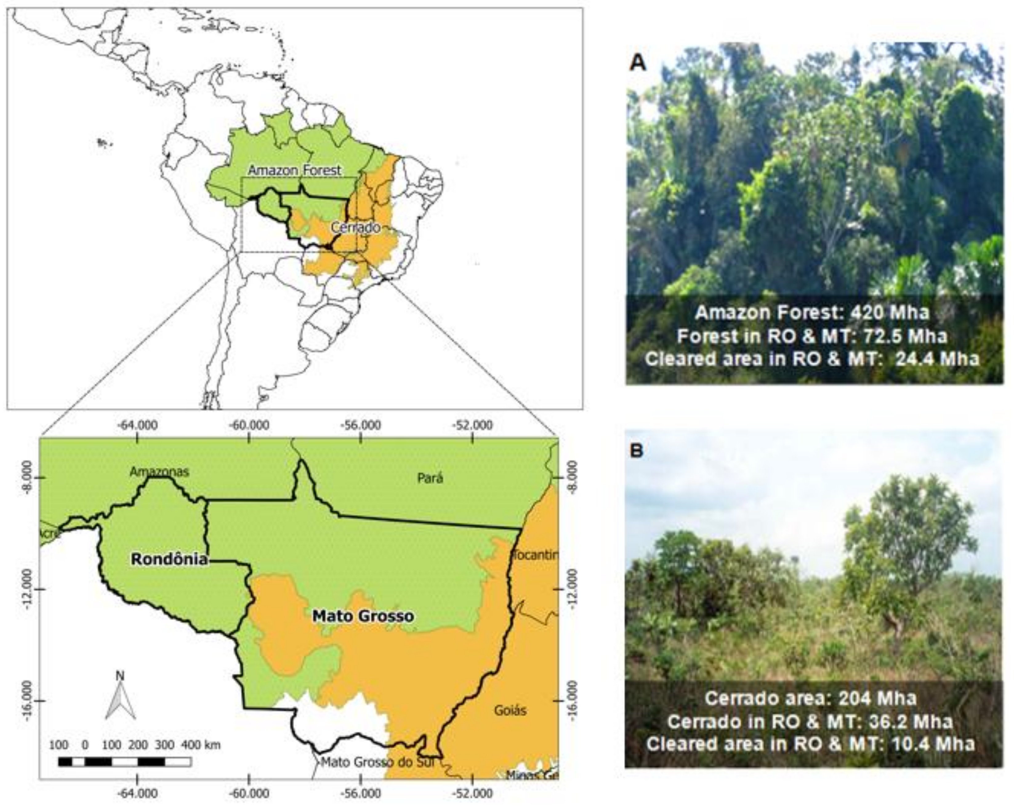 Sustainability | Free Full-Text | Reducing Amazon Deforestation through  Agricultural Intensification in the Cerrado for Advancing Food Security and  Mitigating Climate Change