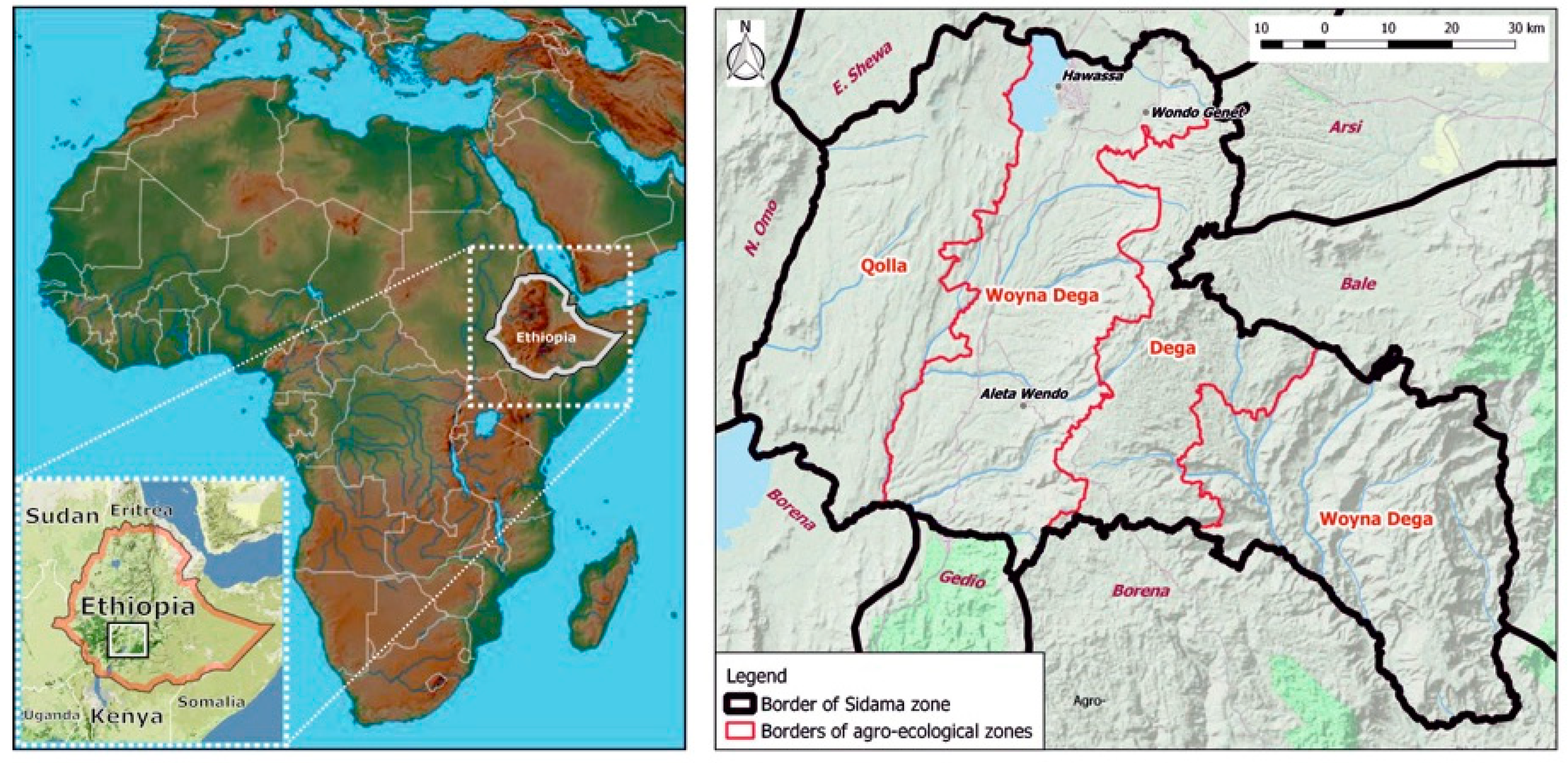 Sustainability | Free Full-Text | Defining Priority Land Covers that Secure  the Livelihoods of Urban and Rural People in Ethiopia: a Case Study Based  on Citizens' Preferences | HTML