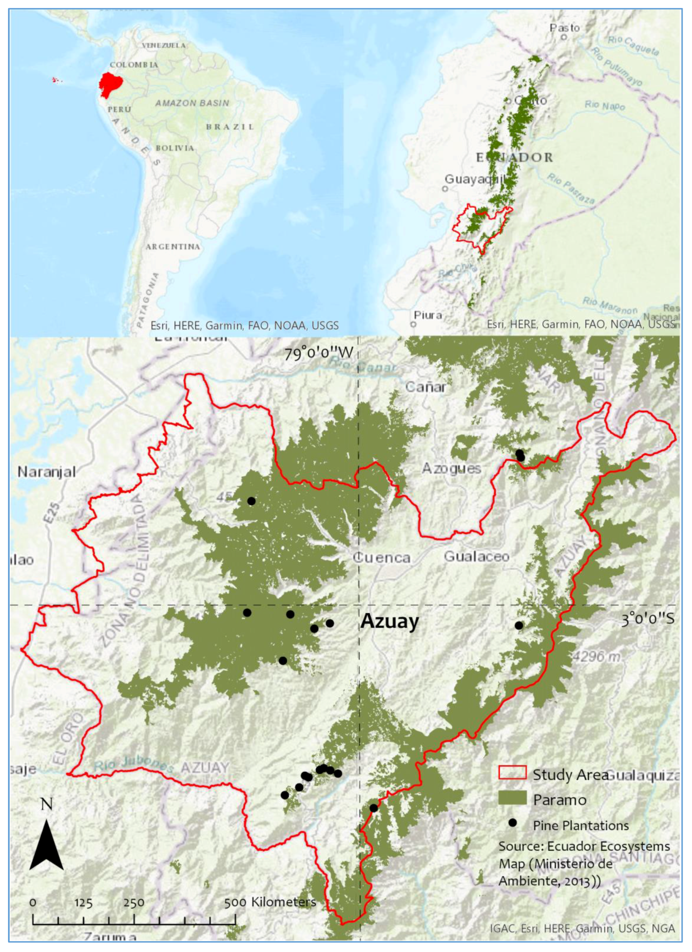 Sustainability | Free Full-Text | Contrasting Stakeholders' Perceptions of  Pine Plantations in the Páramo Ecosystem of Ecuador