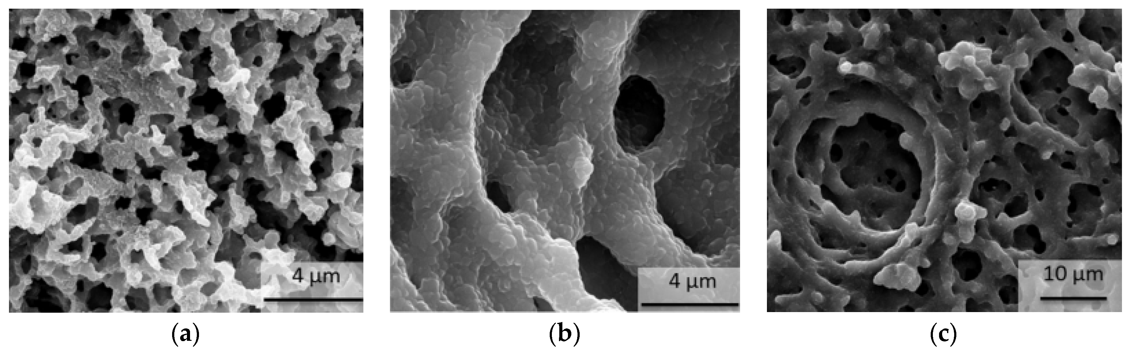 Sustainability 10 02660 g014