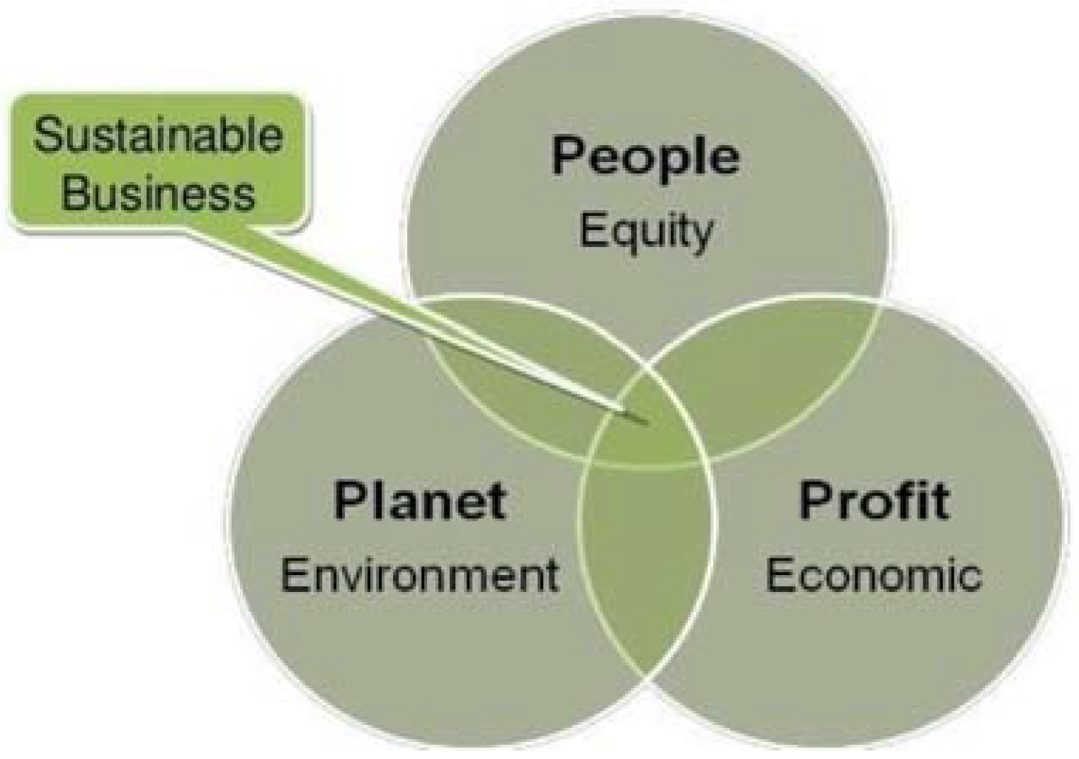 Sustainability Free Full Text Environmental Risk Management Strategies And The Moderating Role Of Corporate Social Responsibility In Project Financing Decisions