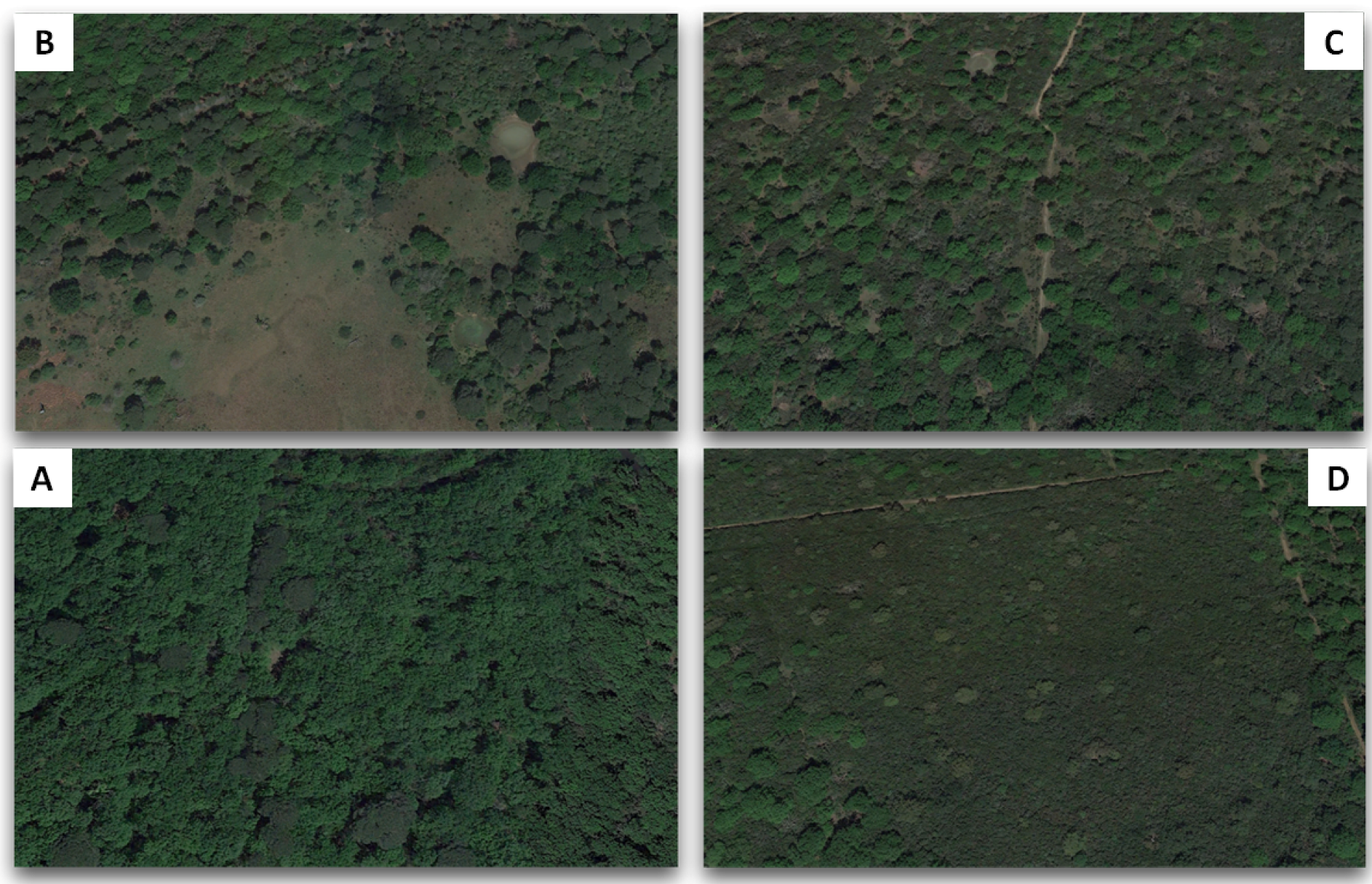 Sustainability 10 03308 g002