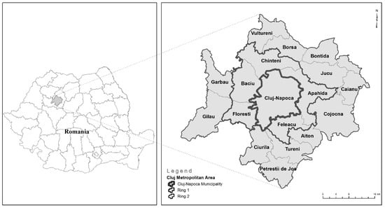 Sustainability | Free Full-Text | Measuring Sustainable Development Goals  at a Local Level: A Case of a Metropolitan Area in Romania